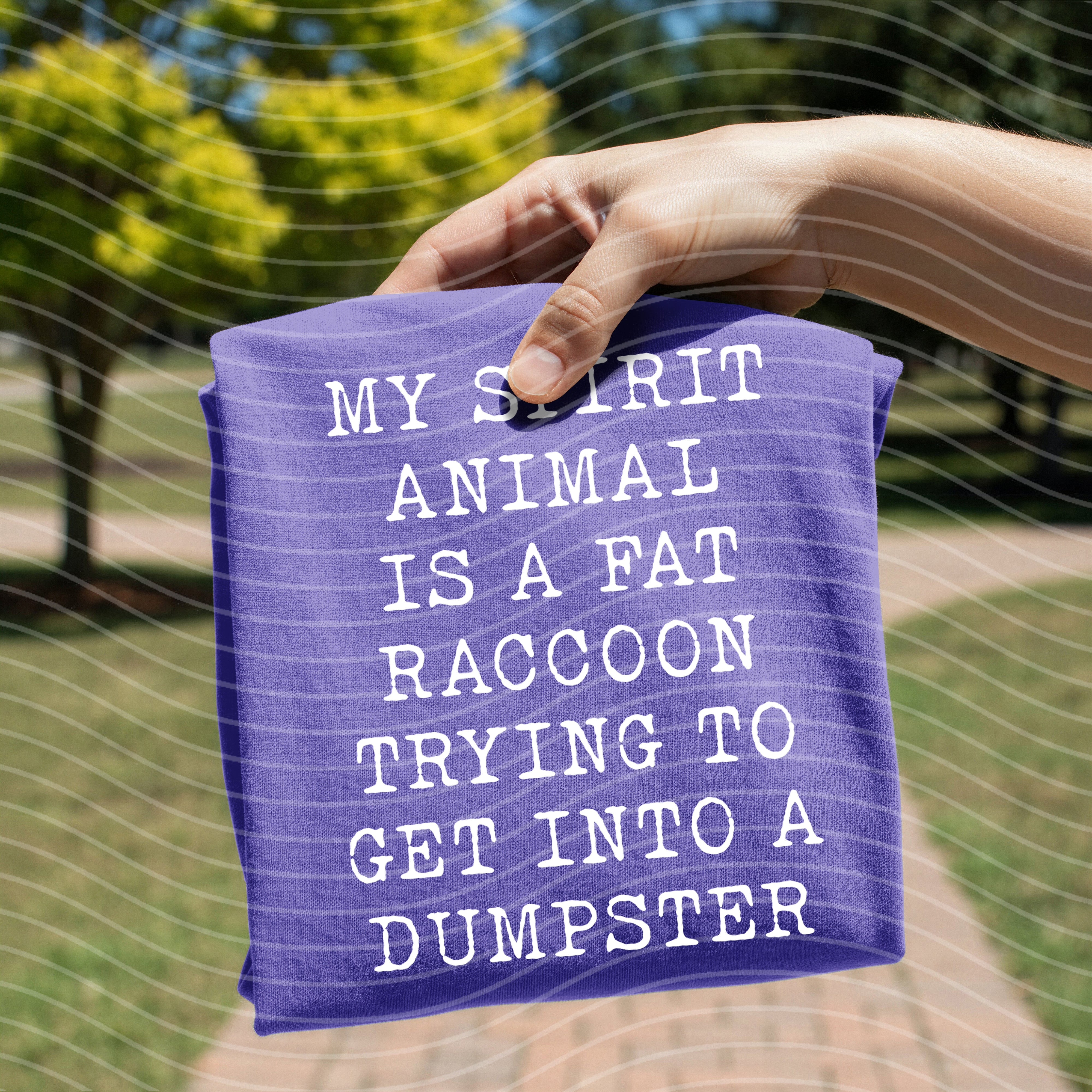 Black graphic tee featuring a fat raccoon illustration and the phrase "My Spirit Animal is a Fat Raccoon" by Anchored Grace Boutique.