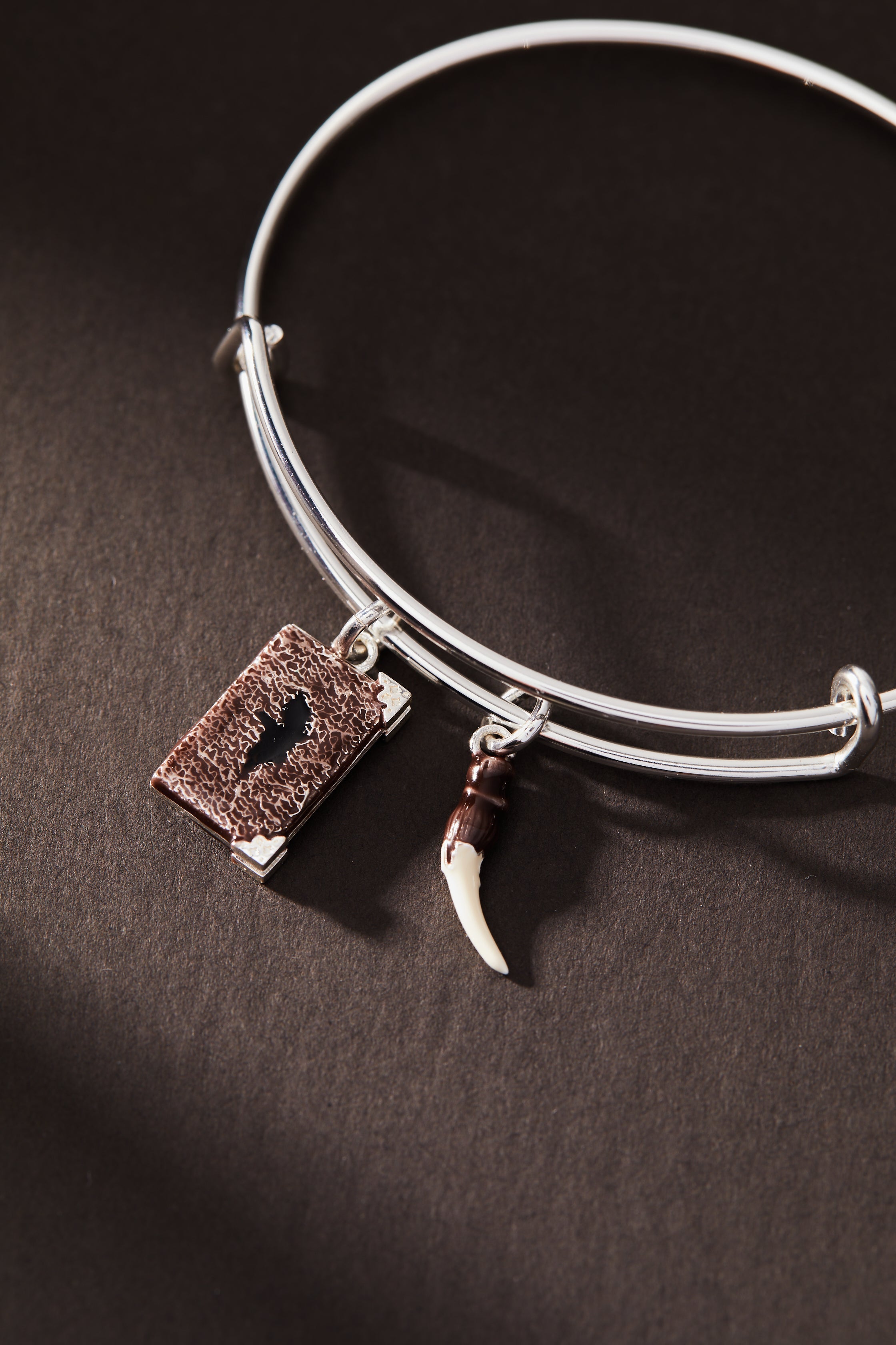 Antique silver Harry Potter™ Diary and Basilisk Fang bangle bracelet by ALEX AND ANI featuring magical-themed design and intricate detailing.