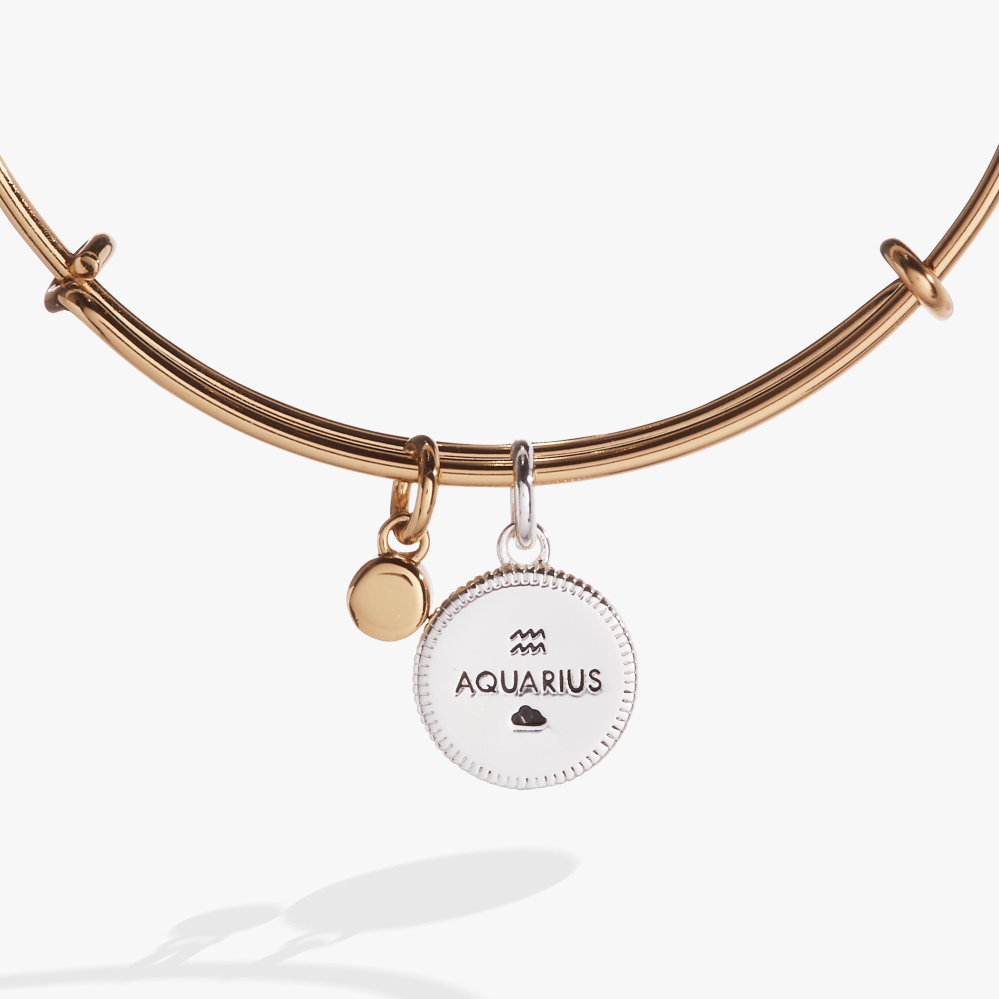 Two-tone Aquarius zodiac charm bangle bracelet by ALEX AND ANI featuring a detailed Aquarius symbol.