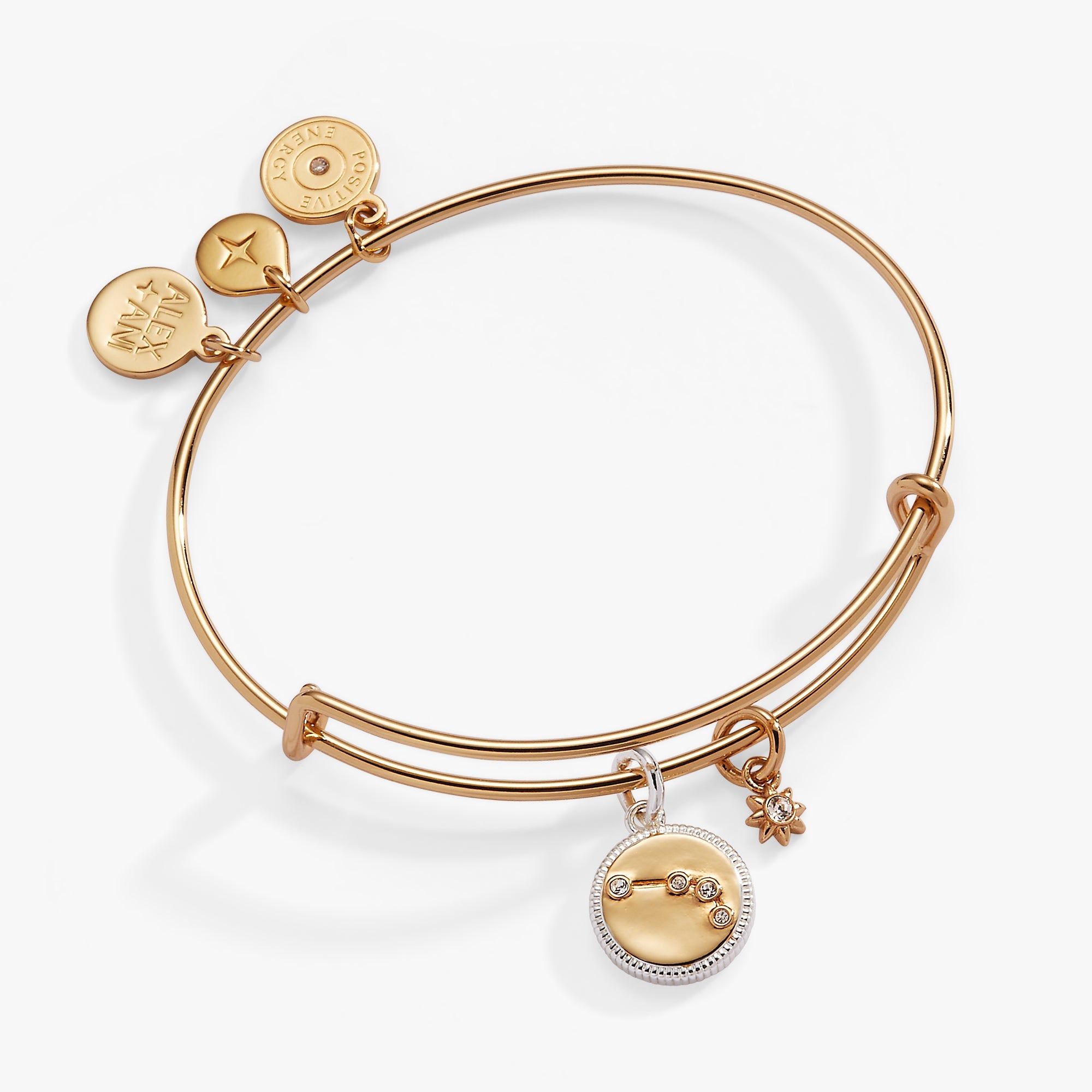Two-tone Aries zodiac charm bangle bracelet by ALEX AND ANI featuring a detailed Aries symbol charm.