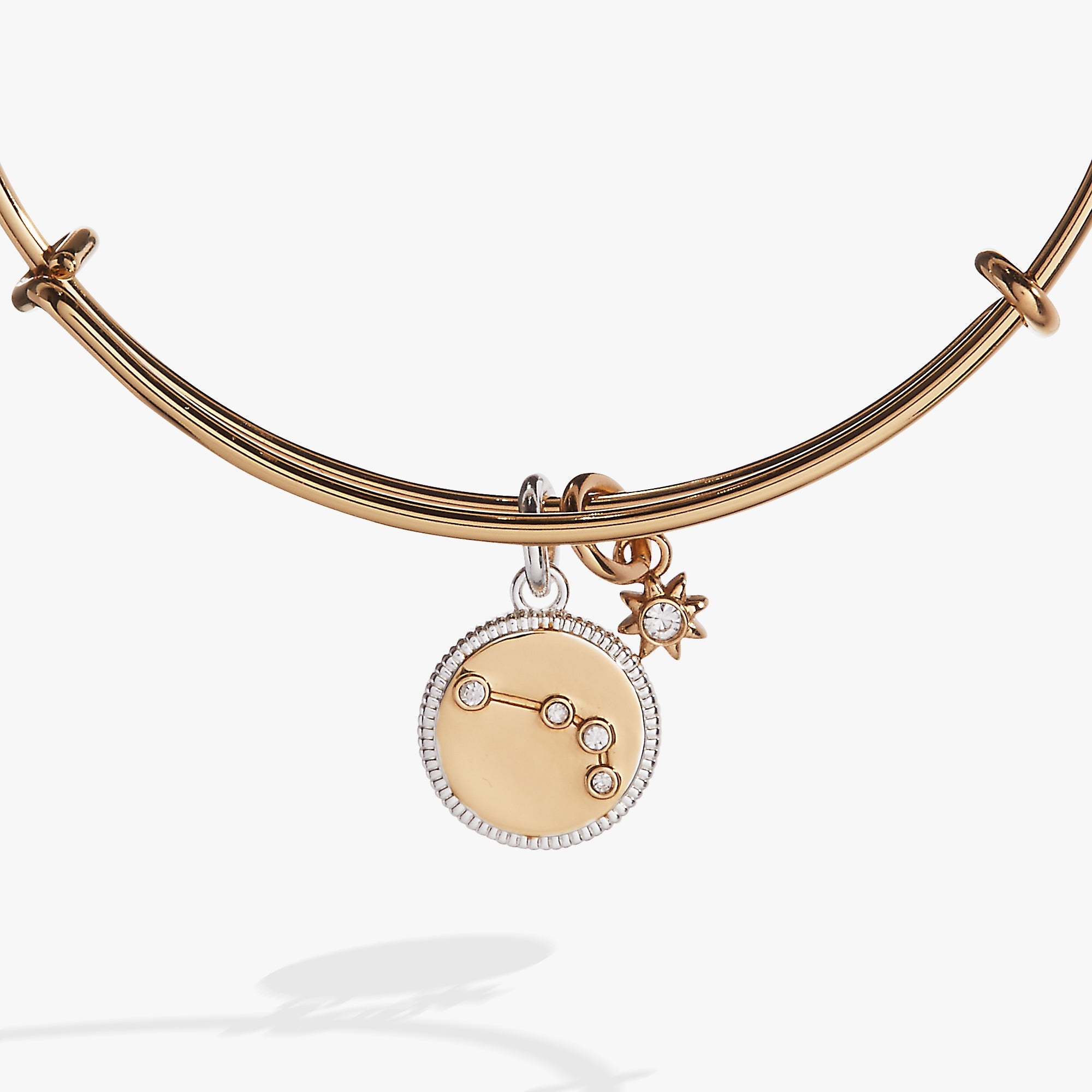 Two-tone Aries zodiac charm bangle bracelet by ALEX AND ANI featuring a circular Aries symbol charm.