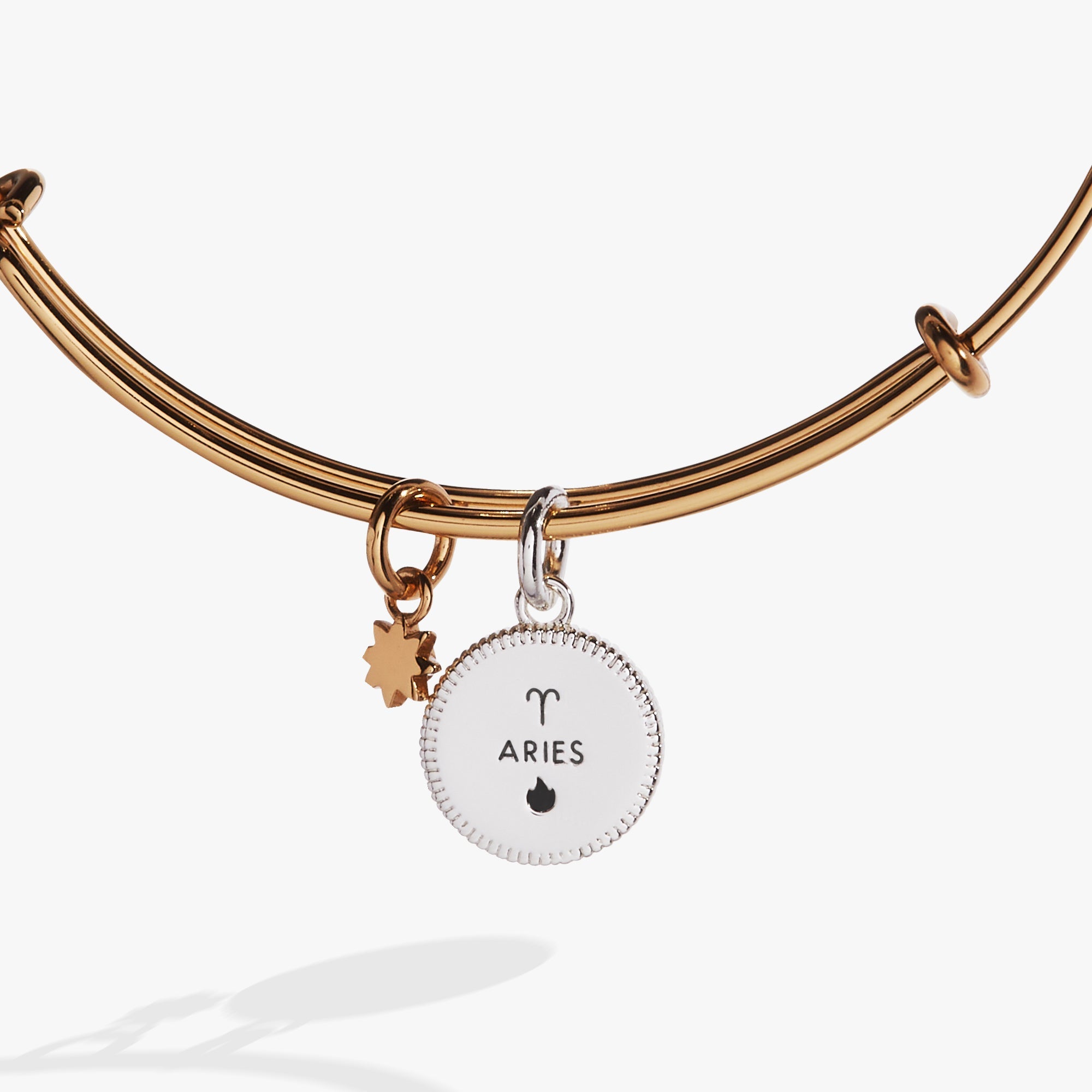 Two-tone Aries Zodiac Charm Bangle by ALEX AND ANI featuring a detailed Aries symbol on a stylish bracelet.