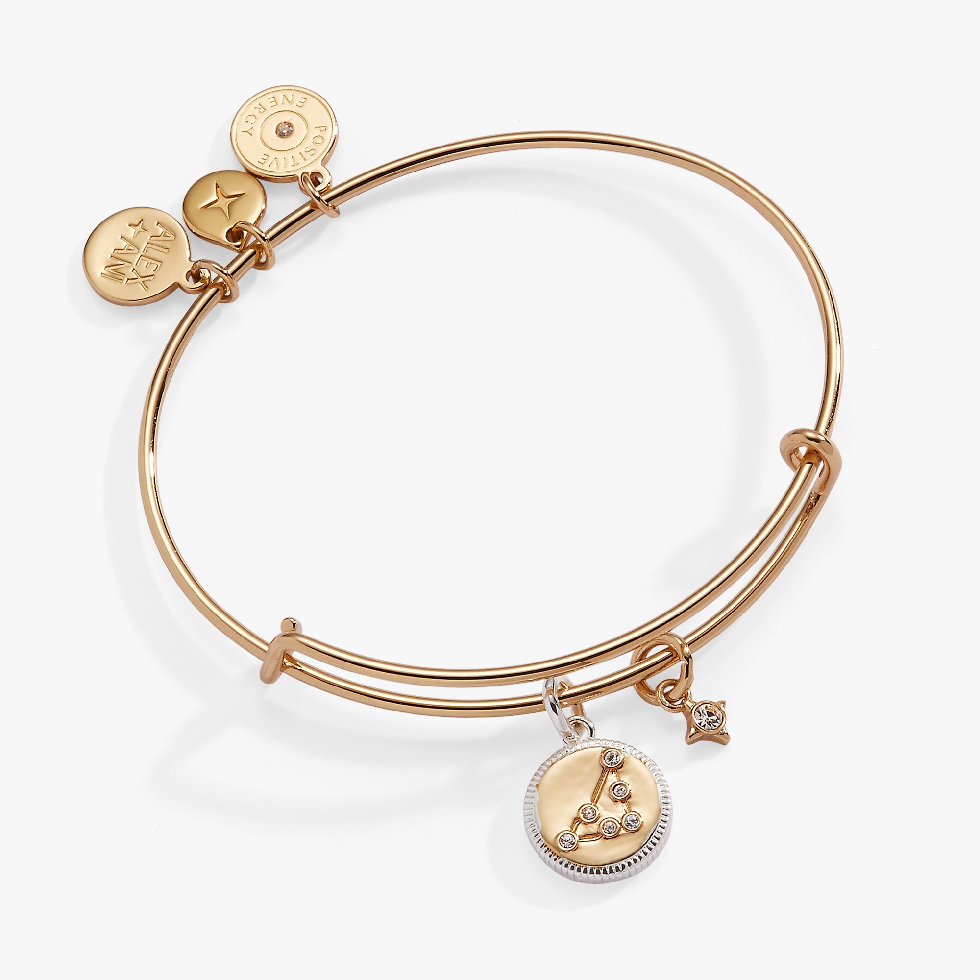 Two-tone Capricorn Zodiac Charm Bangle by ALEX AND ANI featuring a detailed Capricorn pendant on a sleek bracelet.