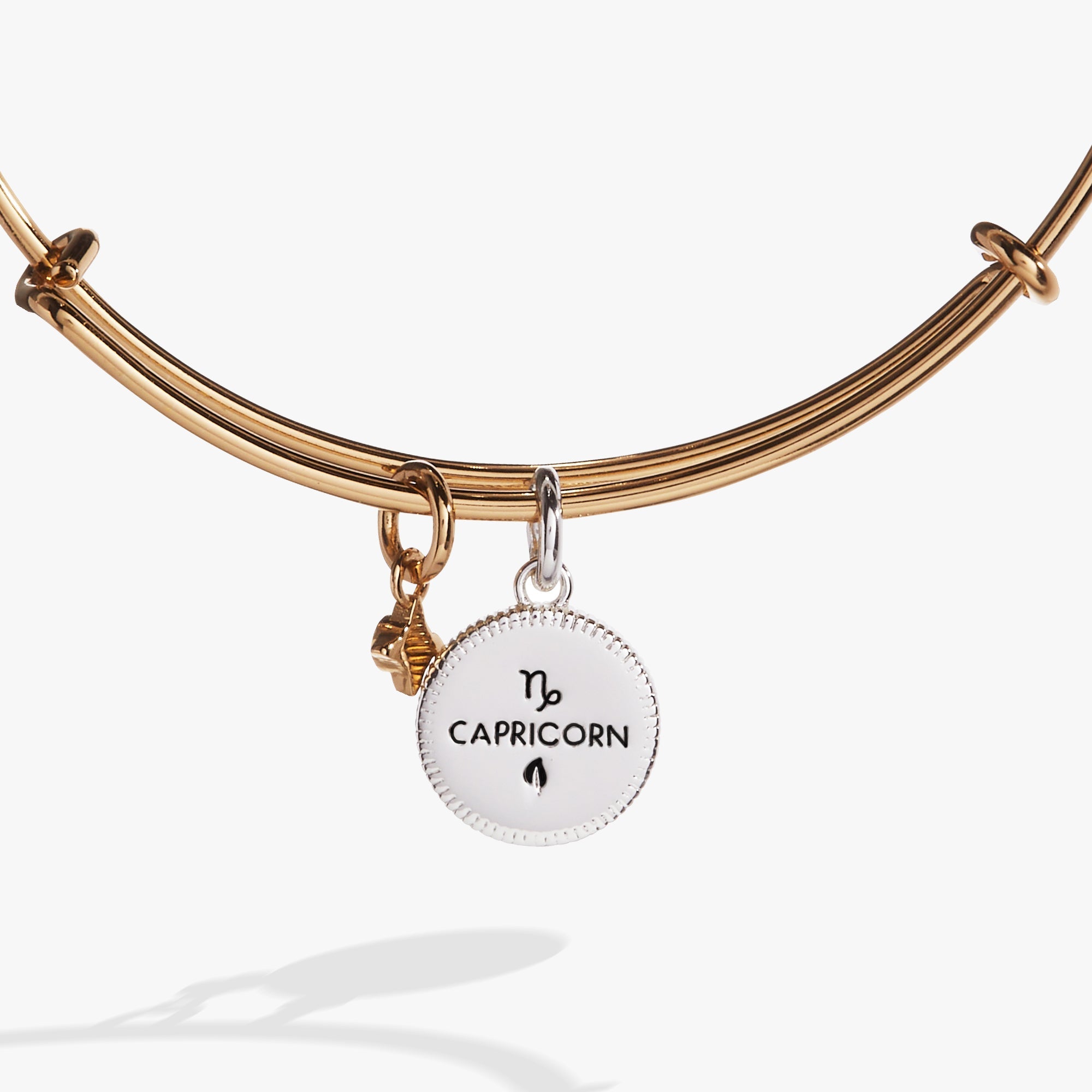Two-tone Capricorn Zodiac Charm Bangle by ALEX AND ANI featuring a detailed Capricorn symbol on a sleek bracelet.