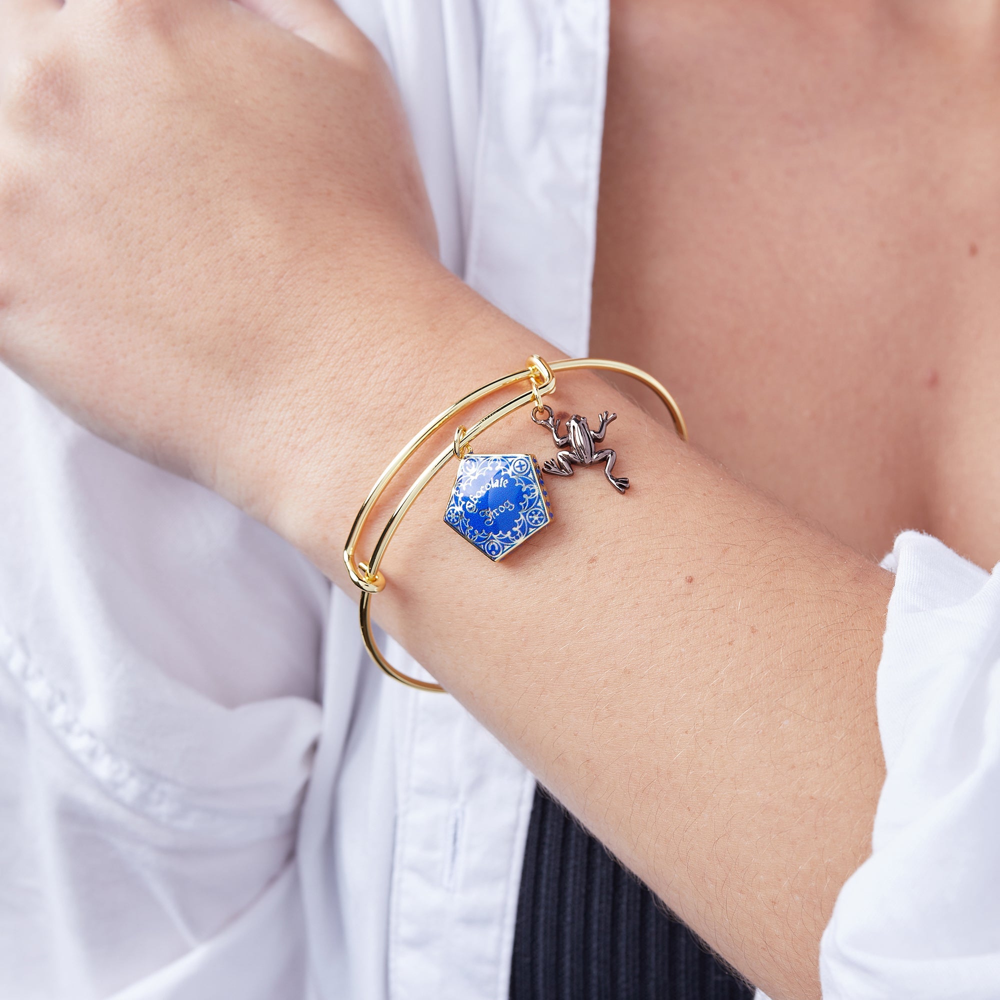 ALEX AND ANI Harry Potter™ Chocolate Frog two-charm bangle bracelet in two-tone metal with Harry Potter-themed charms.