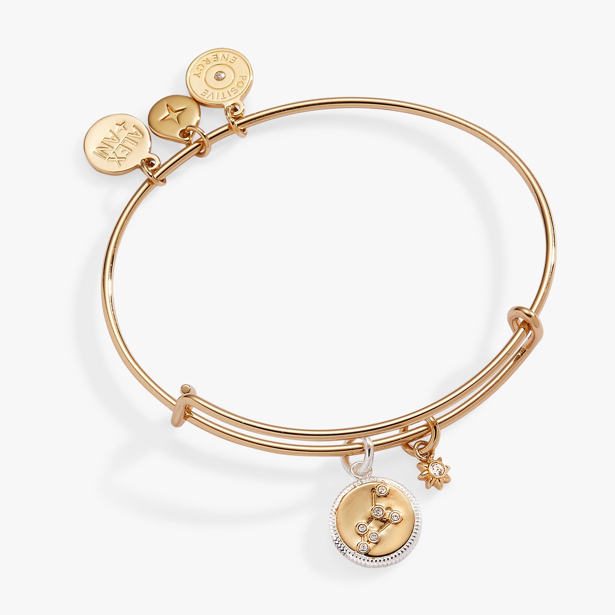 Two-tone Leo Zodiac Charm Bangle bracelet by ALEX AND ANI featuring a Leo zodiac symbol charm and sleek design.