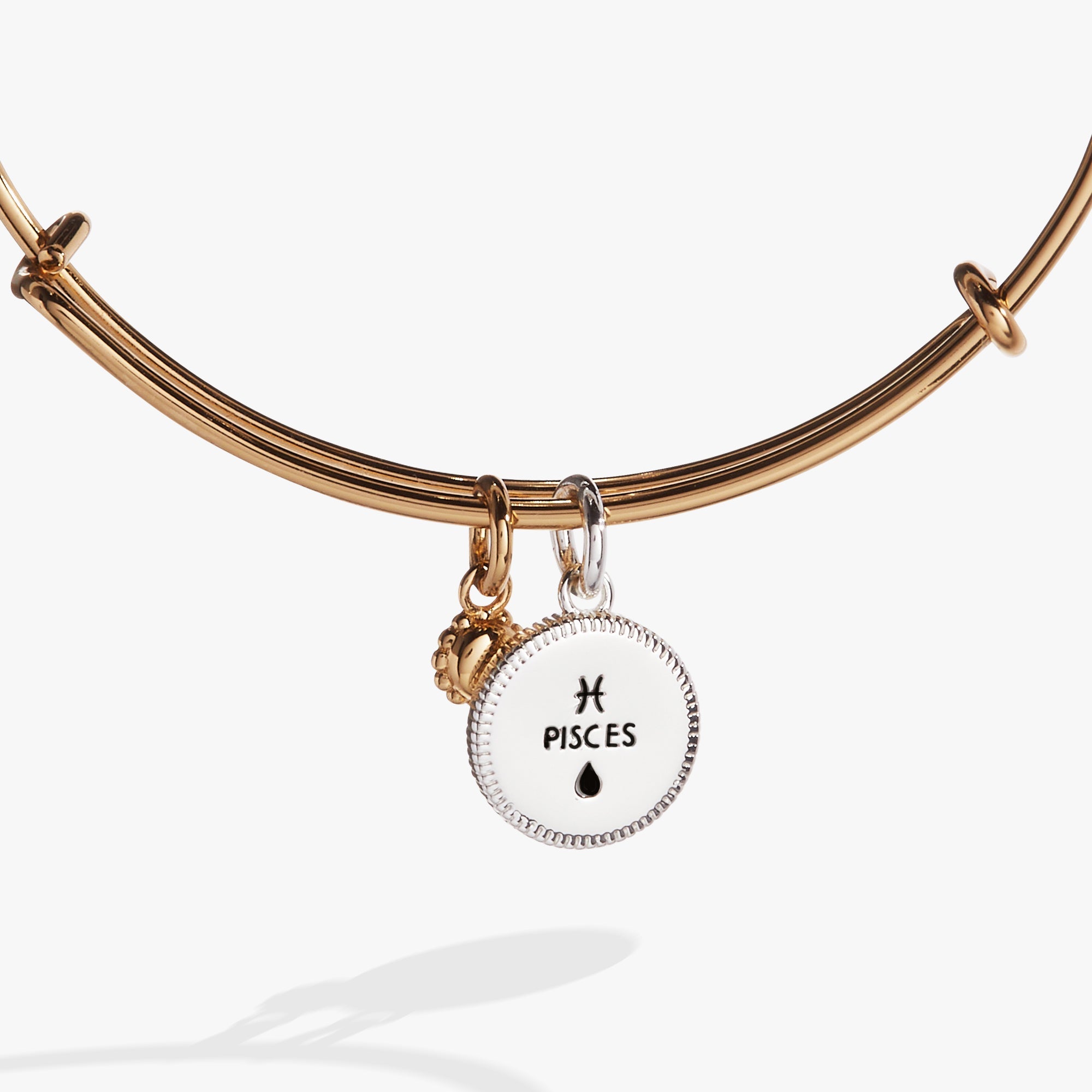 Two-tone Pisces Zodiac Charm Bangle by ALEX AND ANI featuring a Pisces symbol charm on a stylish bracelet.