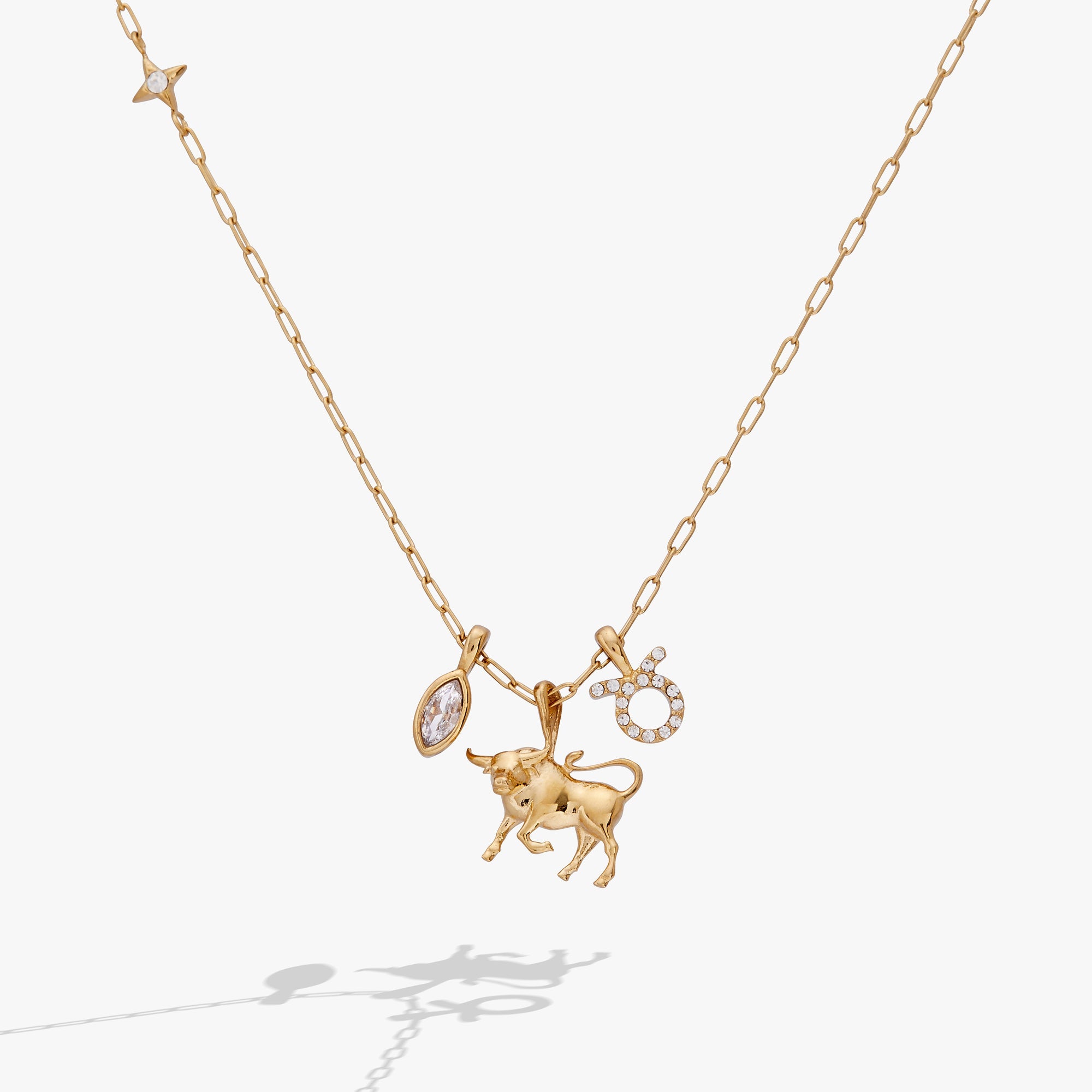 Gold Taurus Zodiac Charm Cluster Necklace by ALEX AND ANI, stainless steel with zodiac-themed charms on a delicate chain.