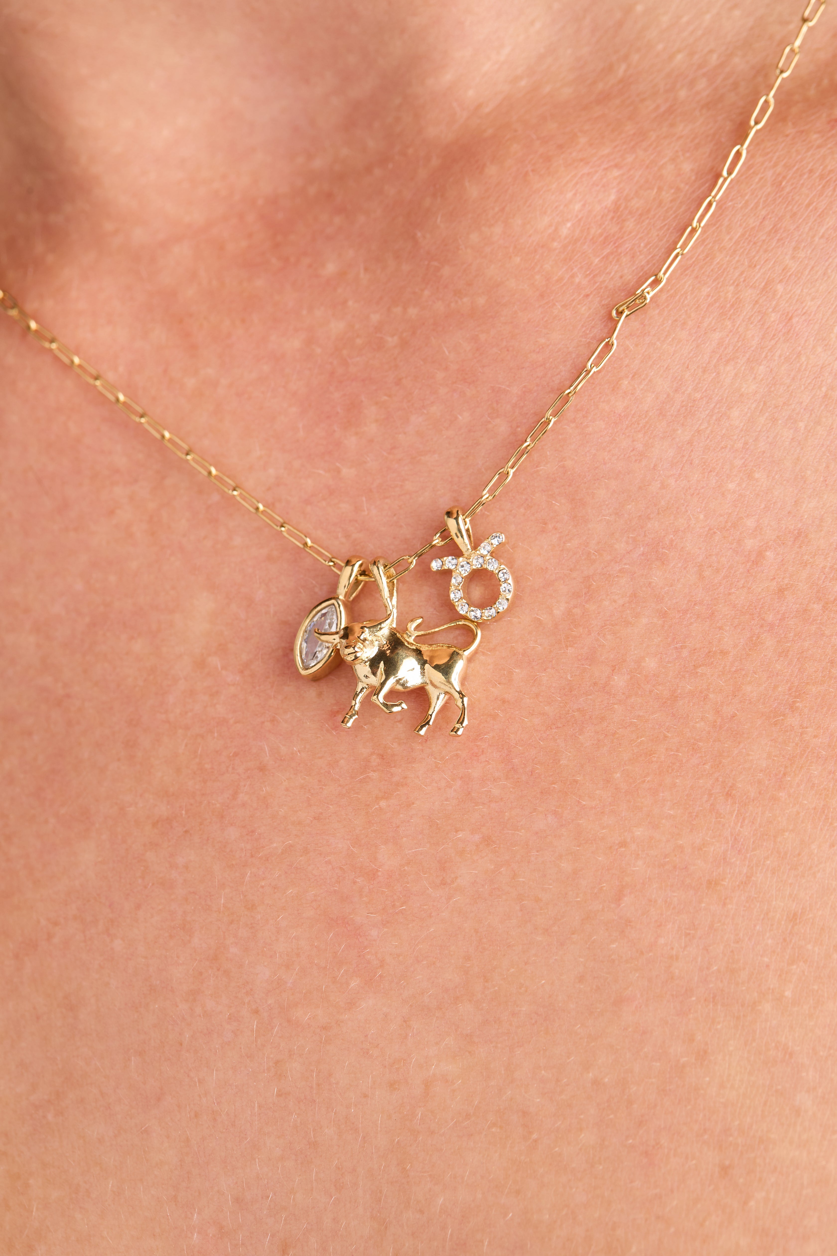 Gold Taurus zodiac charm cluster necklace by ALEX AND ANI featuring stainless steel chain and detailed zodiac pendant.