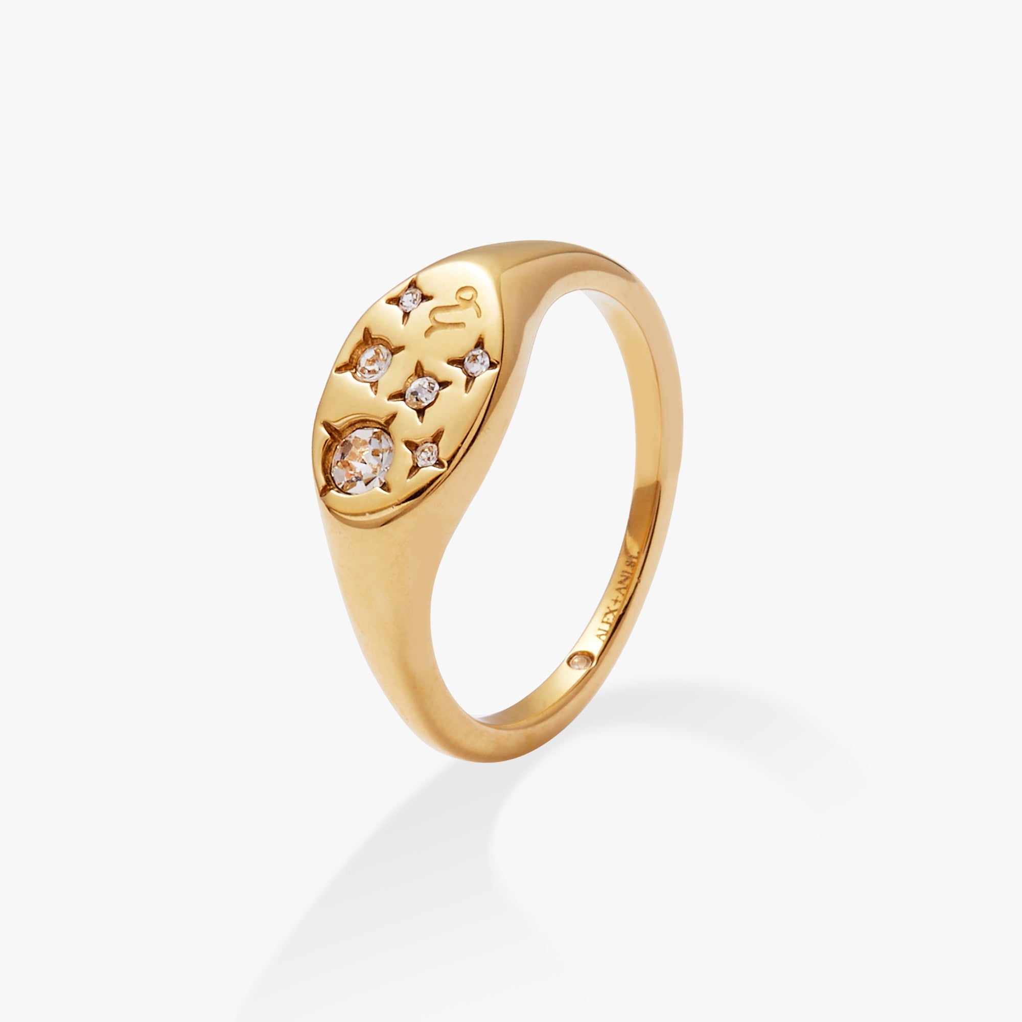 Gold stainless steel Capricorn Zodiac Ring by ALEX AND ANI featuring a detailed Capricorn symbol engraved on the band.
