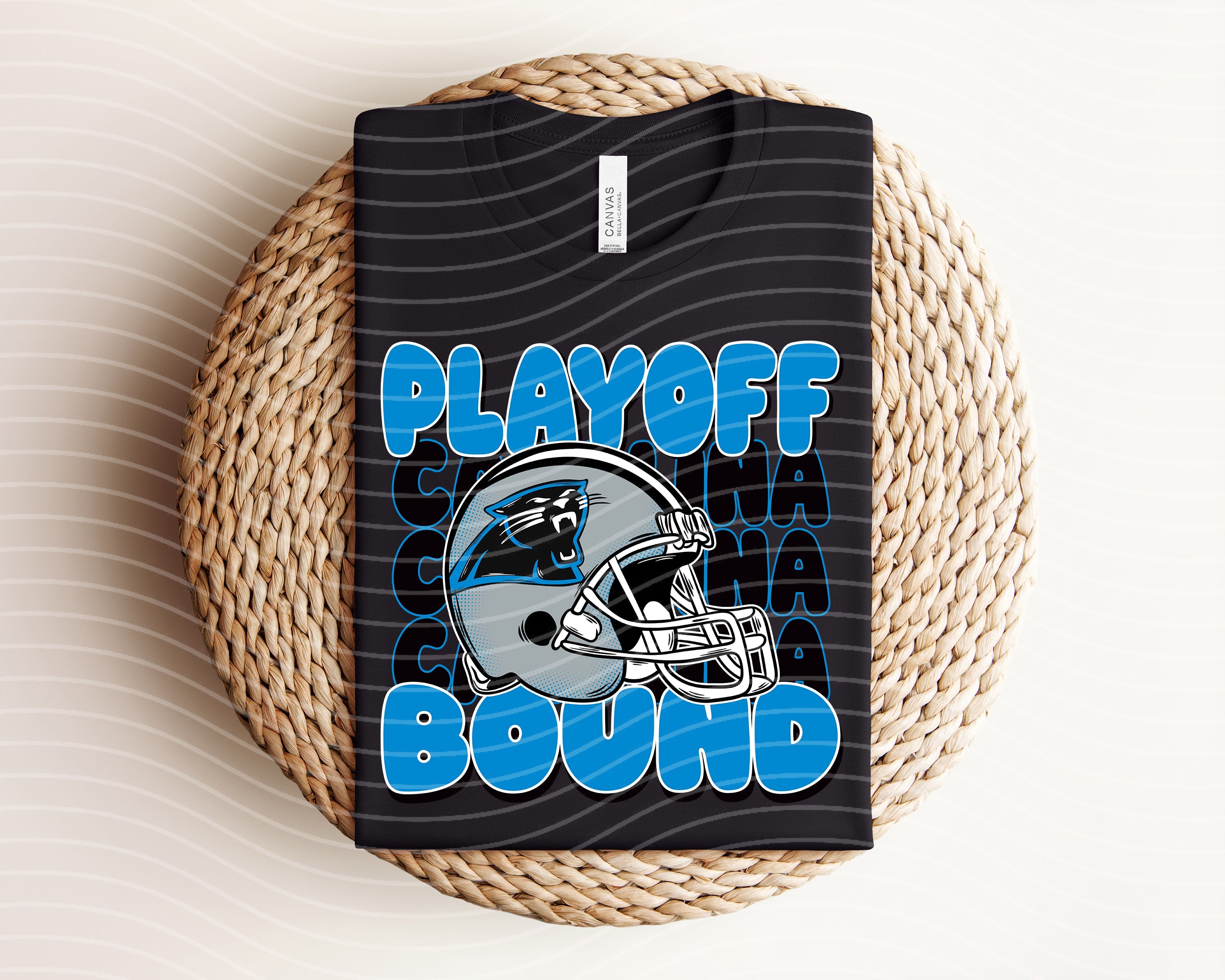 Playoff Bound Panthers graphic tee by Anchored Grace Boutique featuring bold Panthers logo and team colors on soft cotton fabric.
