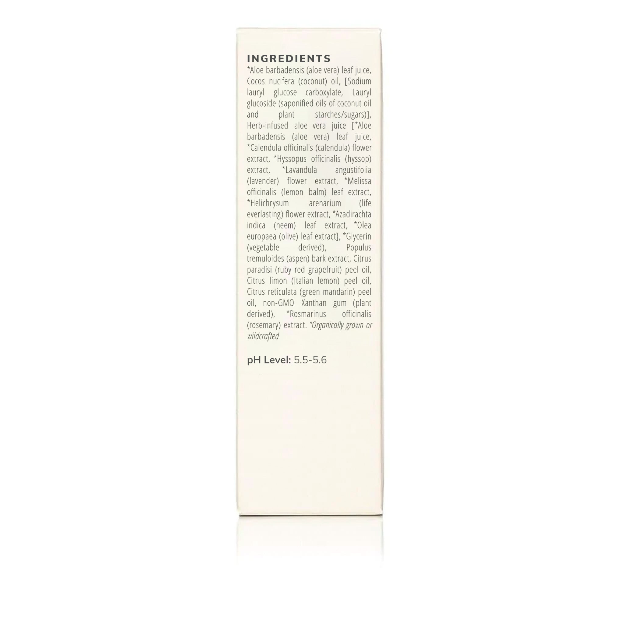 Aloe Herb Cleanser from Annmarie Skin Care, 100ml bottle with natural ingredients for gentle skincare.