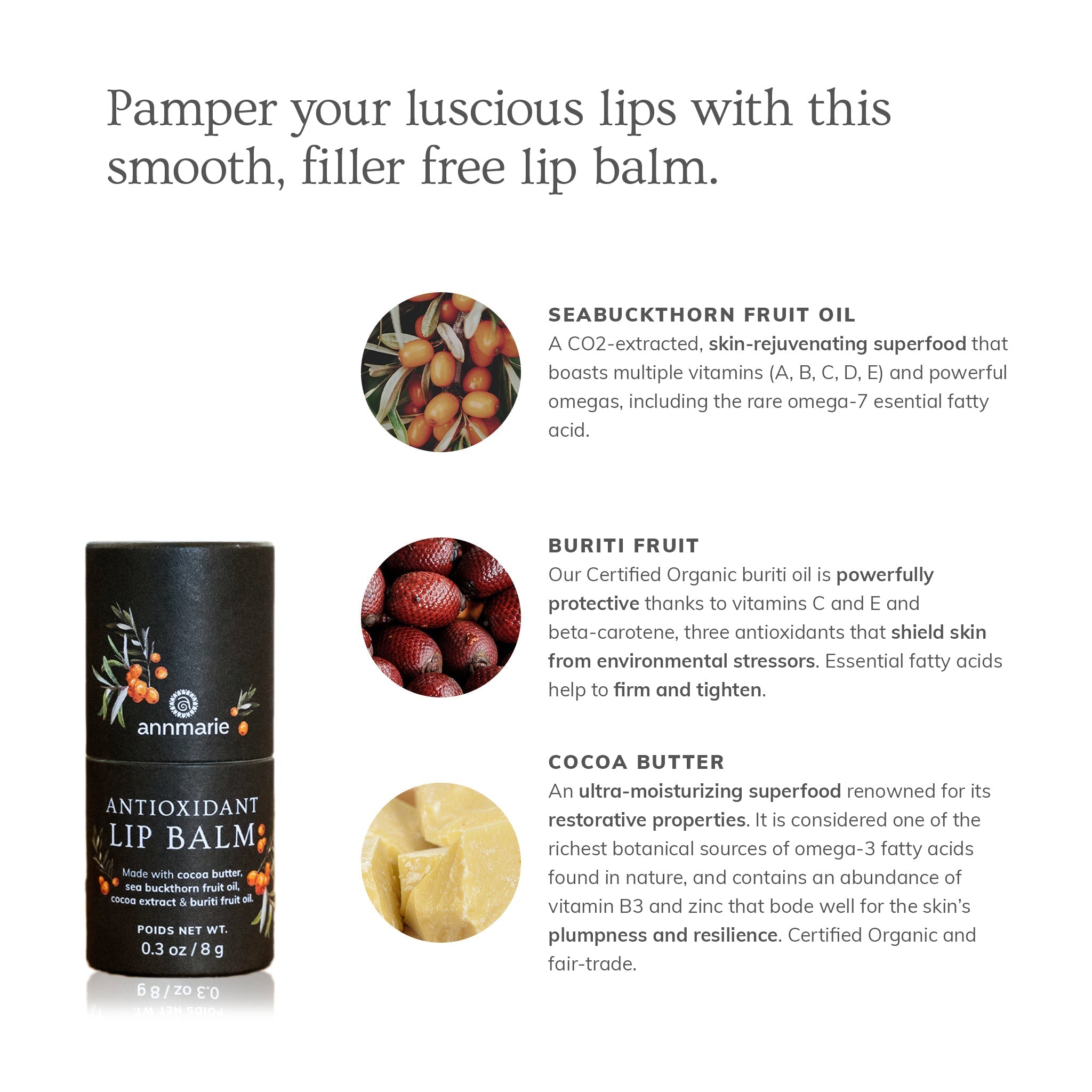 Antioxidant Lip Balm by Annmarie Skin Care, showing the tube with herbal ingredients on the packaging.