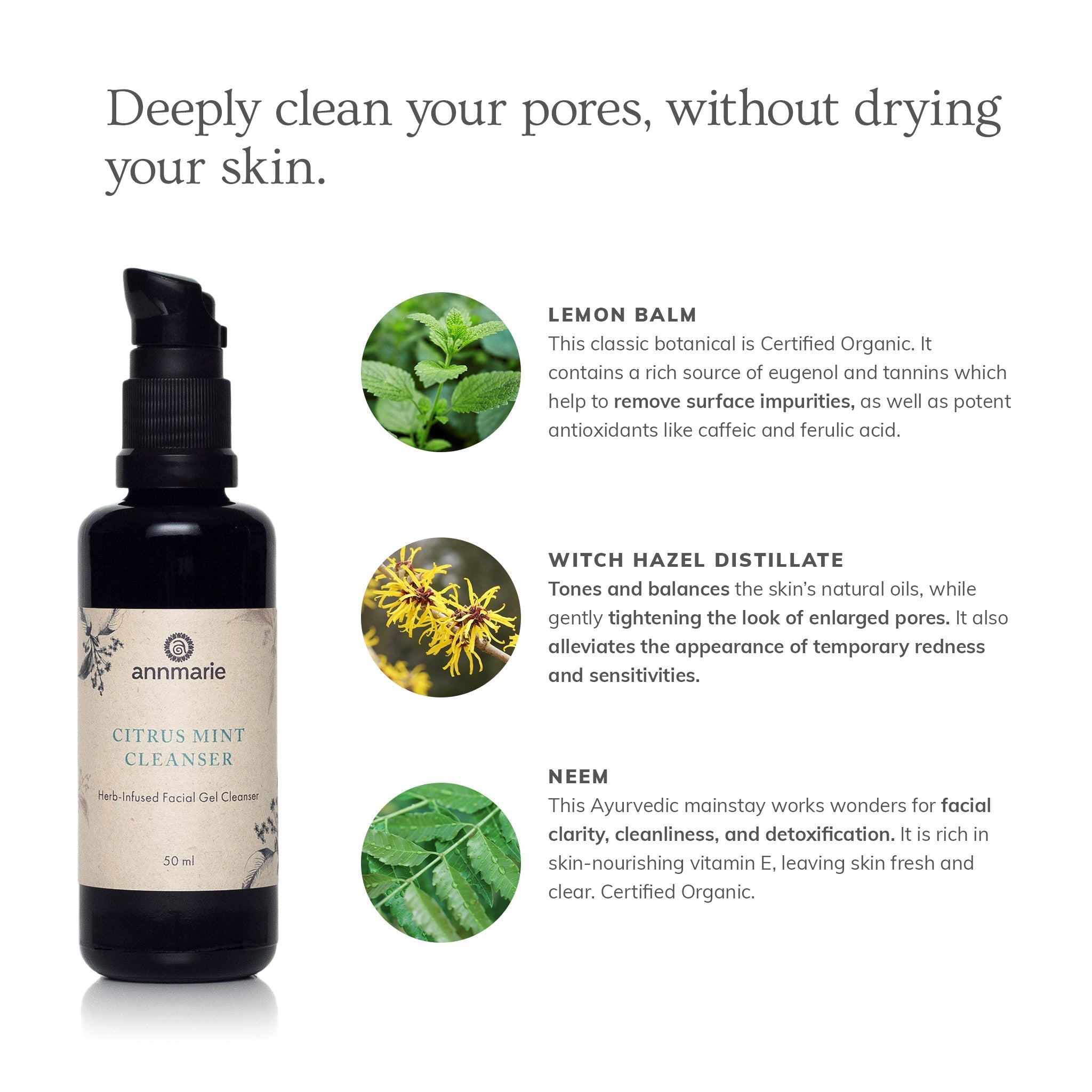 Citrus Mint Cleanser by Annmarie Skin Care, 50ml, featuring a natural facial cleanser with citrus and mint ingredients.