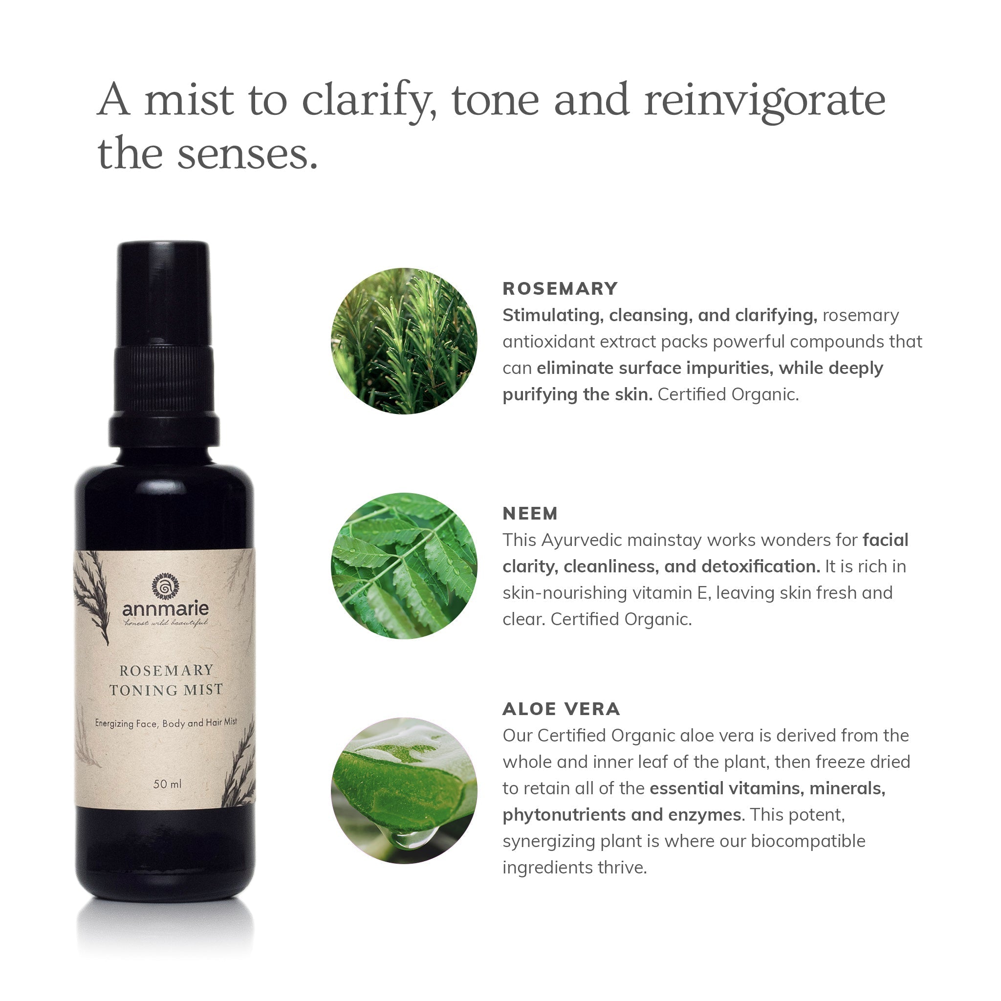 Rosemary Toning Mist by Annmarie Skin Care in a 50ml spray bottle, designed to refresh and balance the skin.