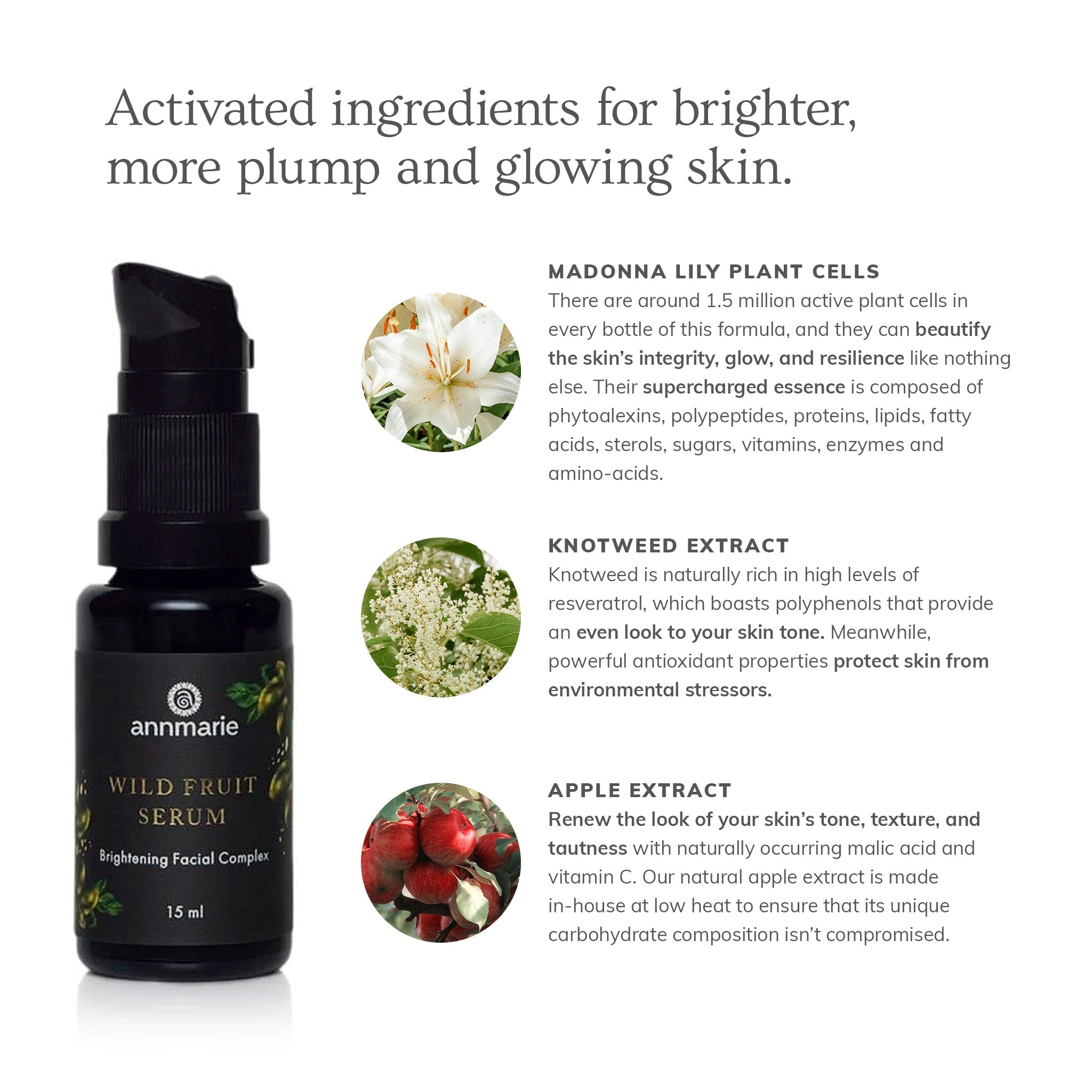 Annmarie Skin Care Wild Fruit Serum brightening facial complex in 15ml bottle, natural skincare product for glowing skin