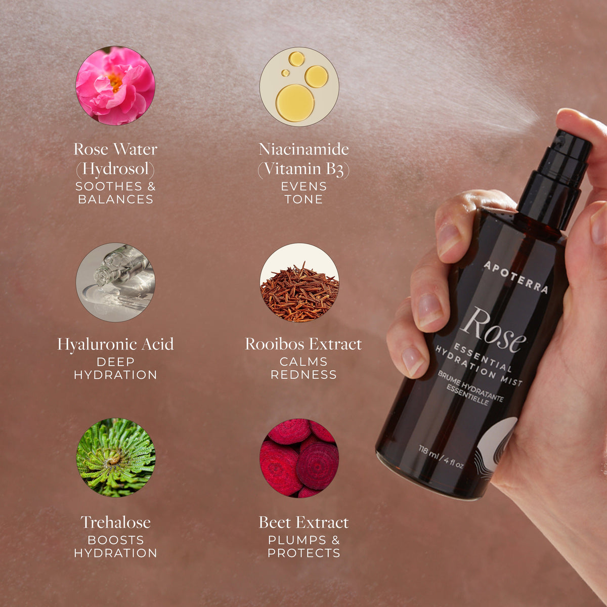 Apoterra Rose Essential Hydration Mist toner bottle with rose ingredients and benefits infographic.