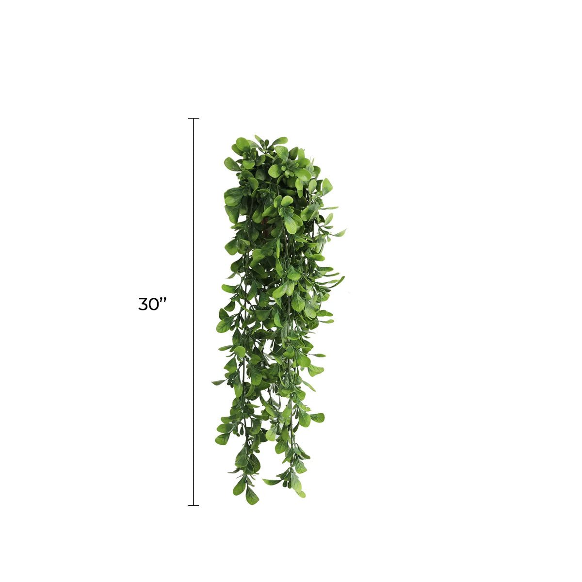 Set of 10 artificial Creeping Fig garland bushes, UV resistant and fire-rated, 7.1x30 inches, ideal for hanging plant decor.