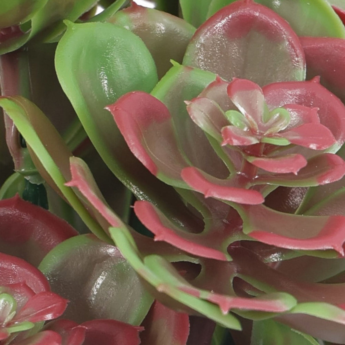 Set of 5 artificial red and green Aeoniums succulents, UV resistant hanging topiary plants, 11.8 inches tall, by Designer Plants USA