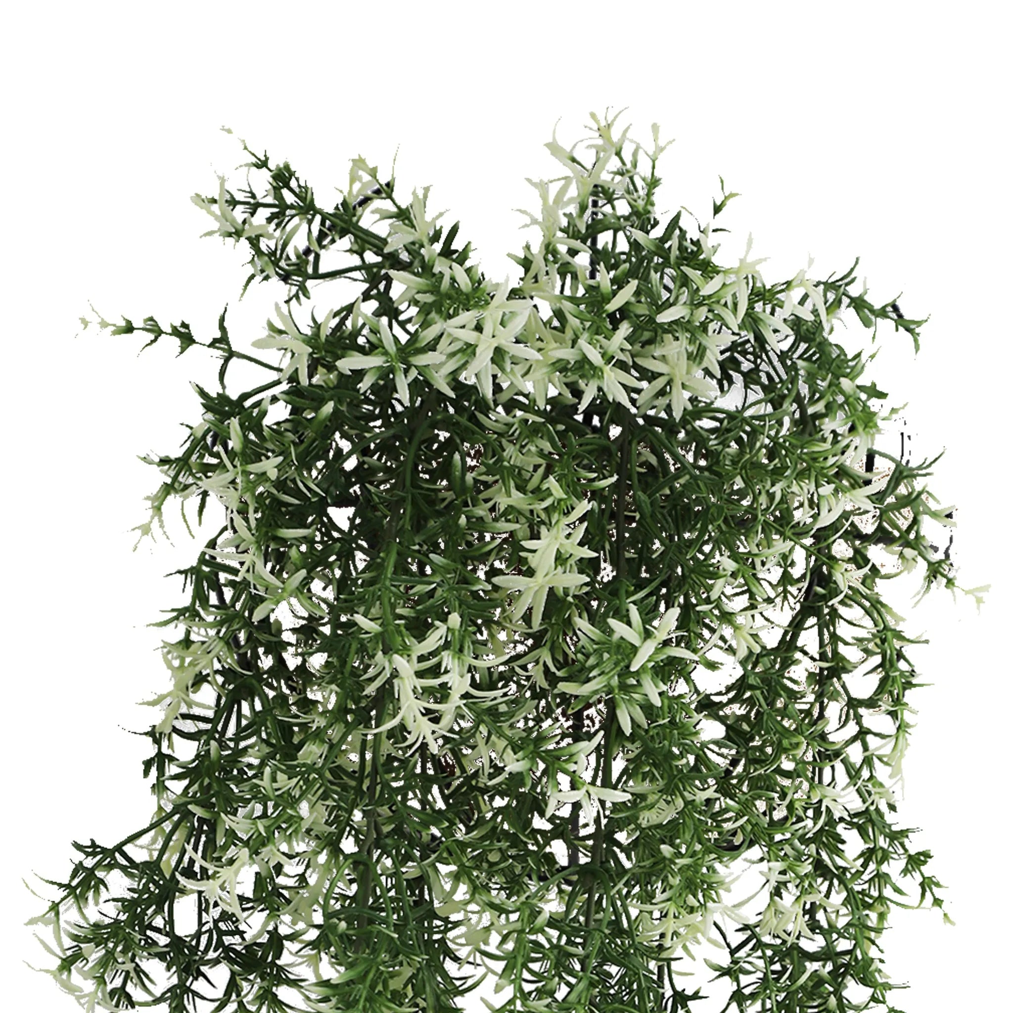 Artificial Star Jasmine Vine hanging plant, UV resistant, 7.8x30 inches, fire-rated NFPA701, from Designer Plants USA.