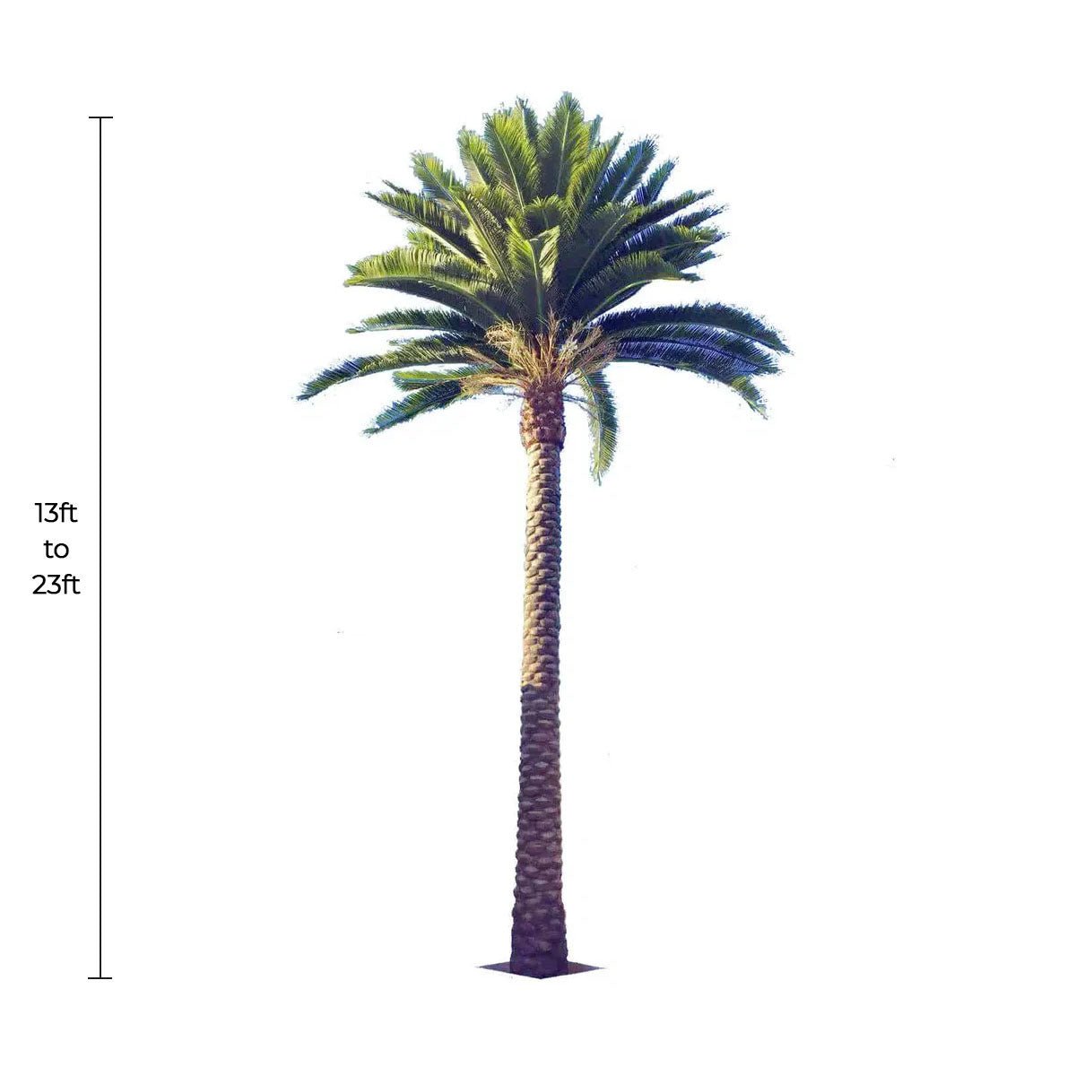 Tall Designer Plants USA Florida Palm artificial tree, 13-23ft, UV resistant, suitable for outdoor use, back ordered with 10-12 week lead time.
