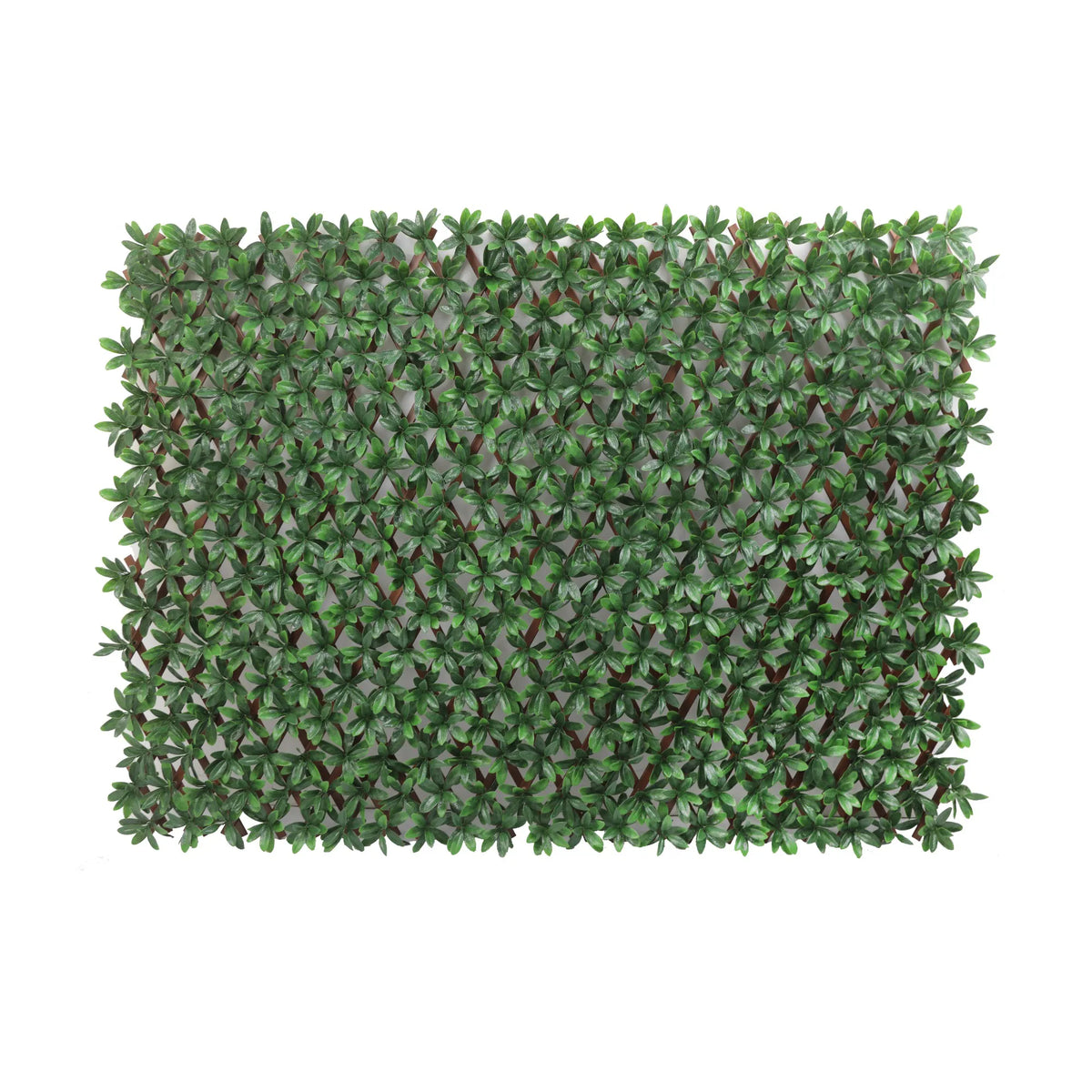 Artificial trellis privacy screen with English Laurel design, UV resistant, expandable, by Designer Plants USA.