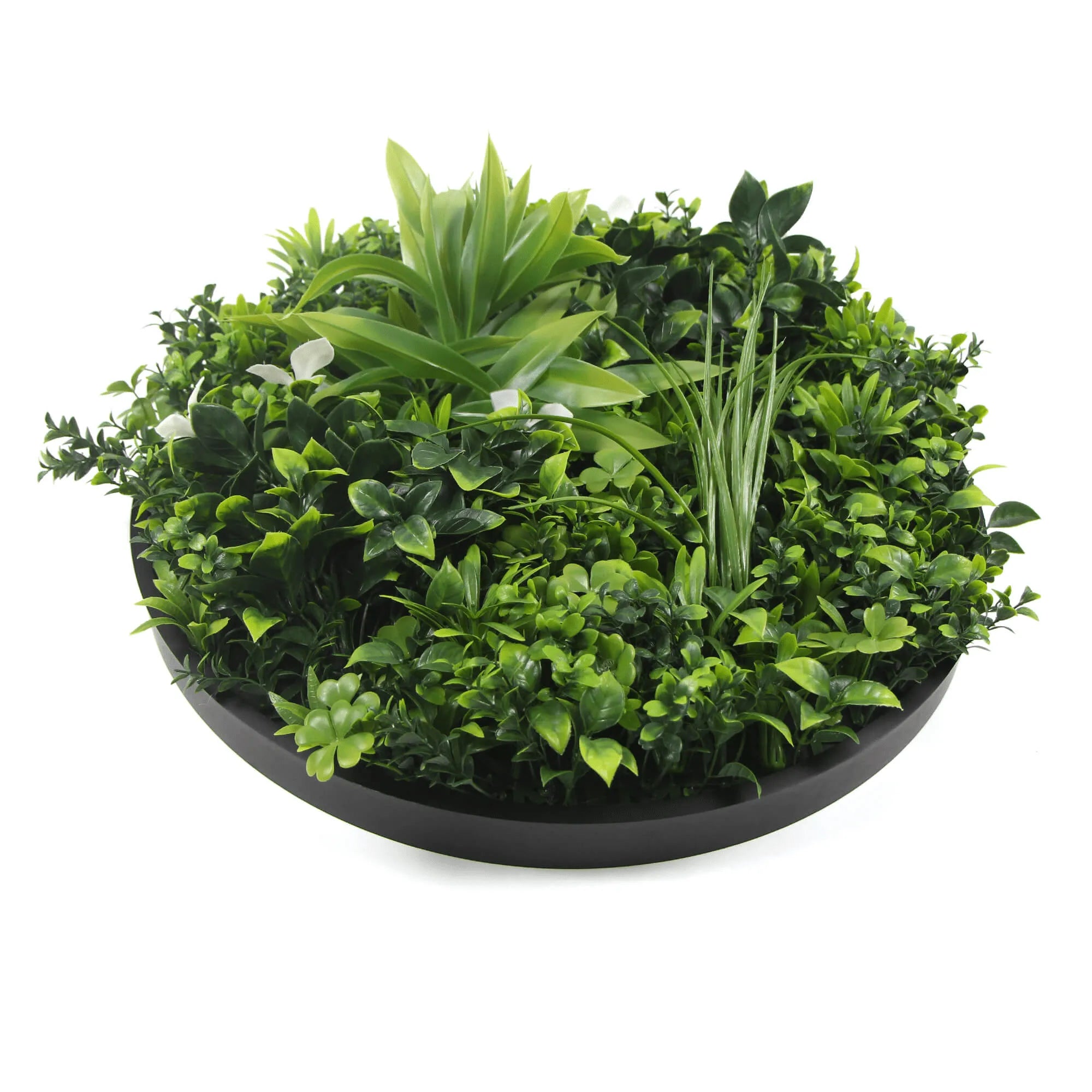 Artificial green wall disc with black frame, UV resistant, 30-inch living wall panel by Designer Plants USA for commercial use.