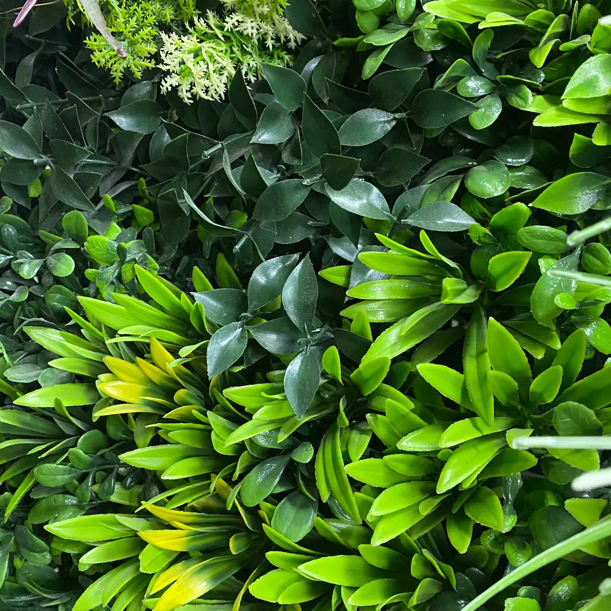 Set of three artificial evergreen living wall panels by Designer Plants USA, UV-resistant green wall for commercial or home use.