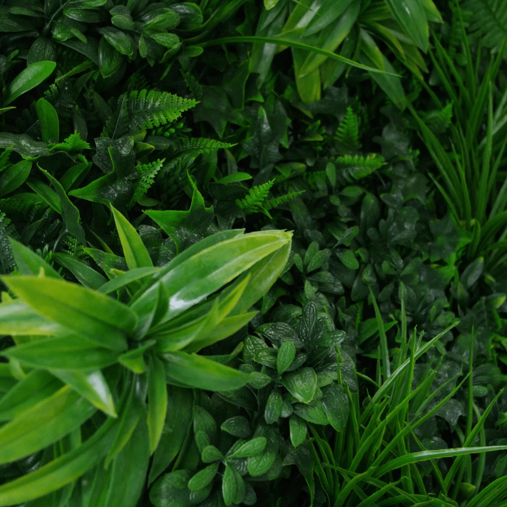 Artificial green wall panel for living walls, 40x40 inches, UV resistant, commercial grade by Designer Plants USA.