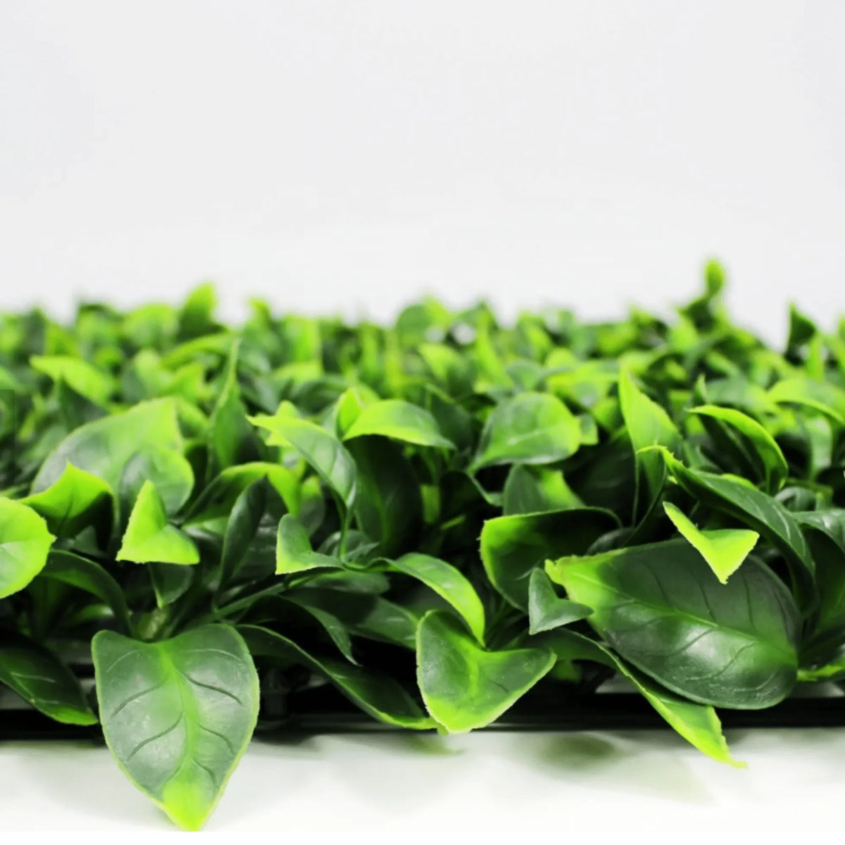Jasmine artificial vertical garden wall panel by Designer Plants USA, UV resistant green wall for commercial or indoor use, 40x40 inches