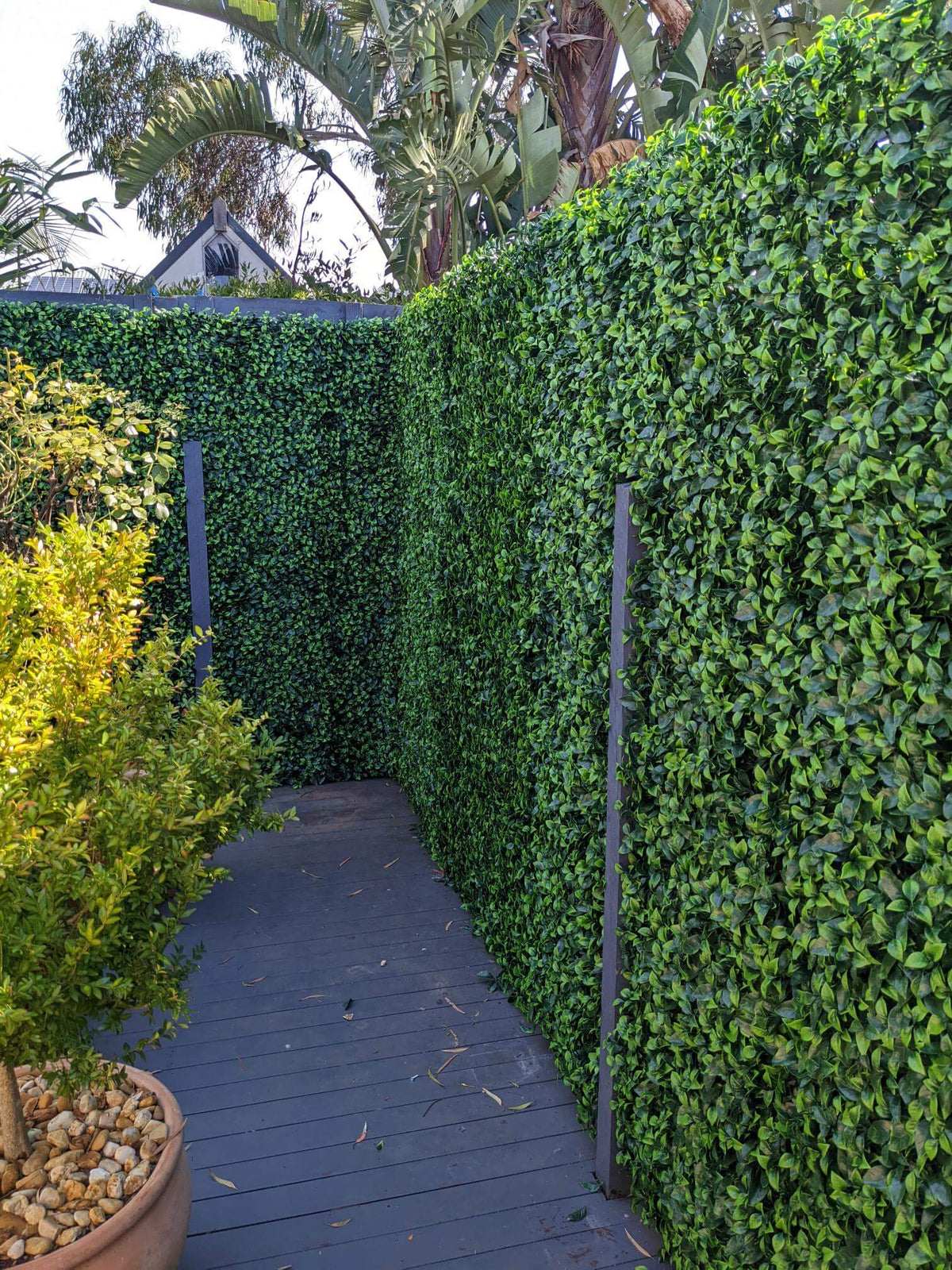 Artificial jasmine leaf green wall panel for vertical gardens, 40x40 inches, UV resistant, commercial-grade living wall from Designer Plants USA.