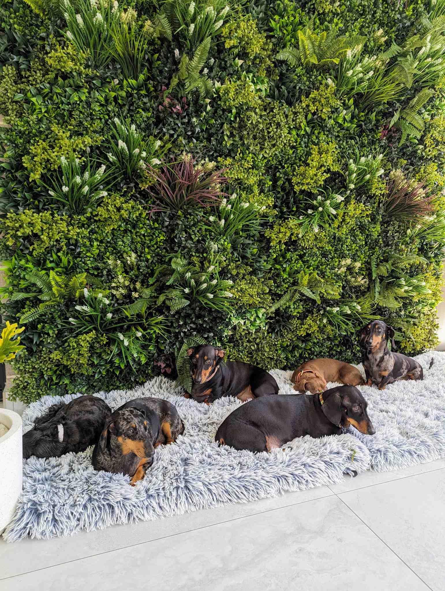 Artificial green wall panel for living walls by Designer Plants USA, UV resistant, 40x40 inch commercial-grade vertical garden.