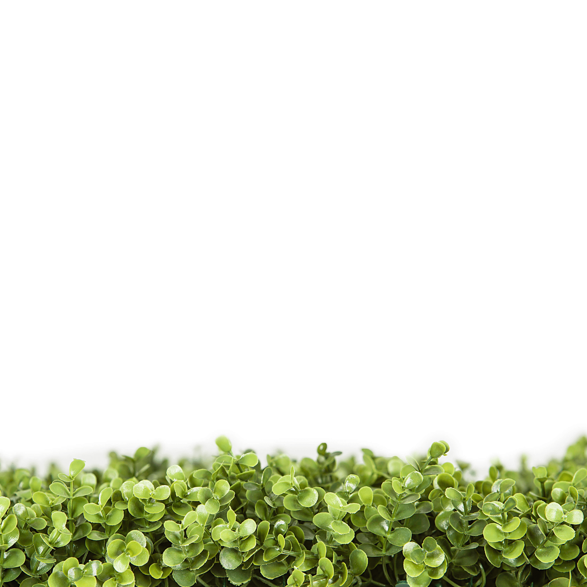 Natural Boxwood artificial vertical garden panel by Designer Plants USA, 40x40 inches, UV resistant, commercial-grade living wall.