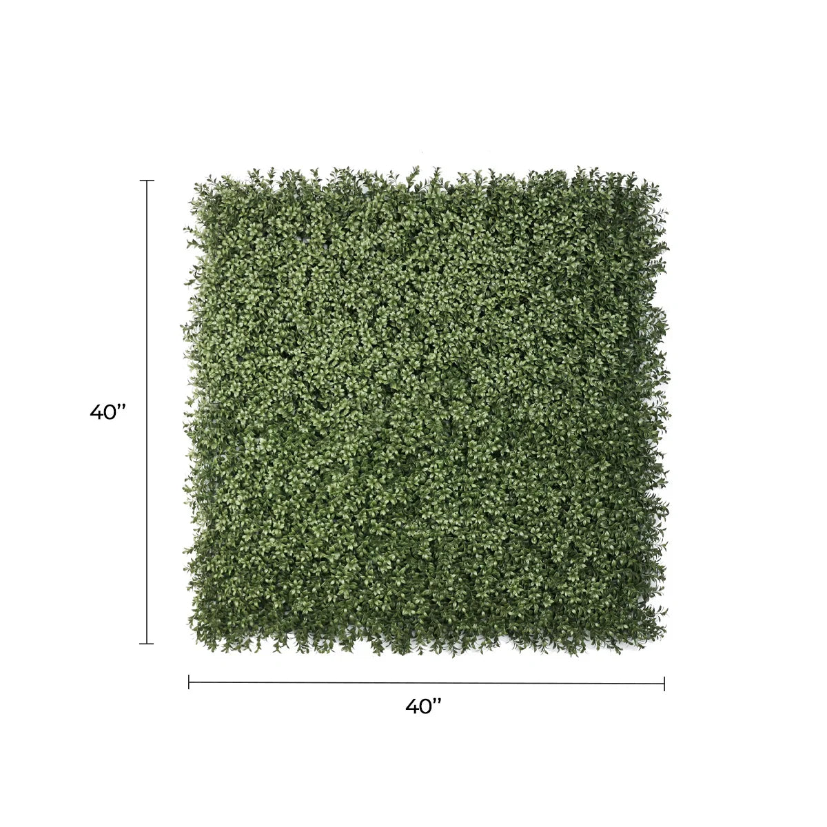 Dark green dense boxwood foliage vertical garden wall panel by Designer Plants USA, UV resistant, fire rated, 40×40 inches.