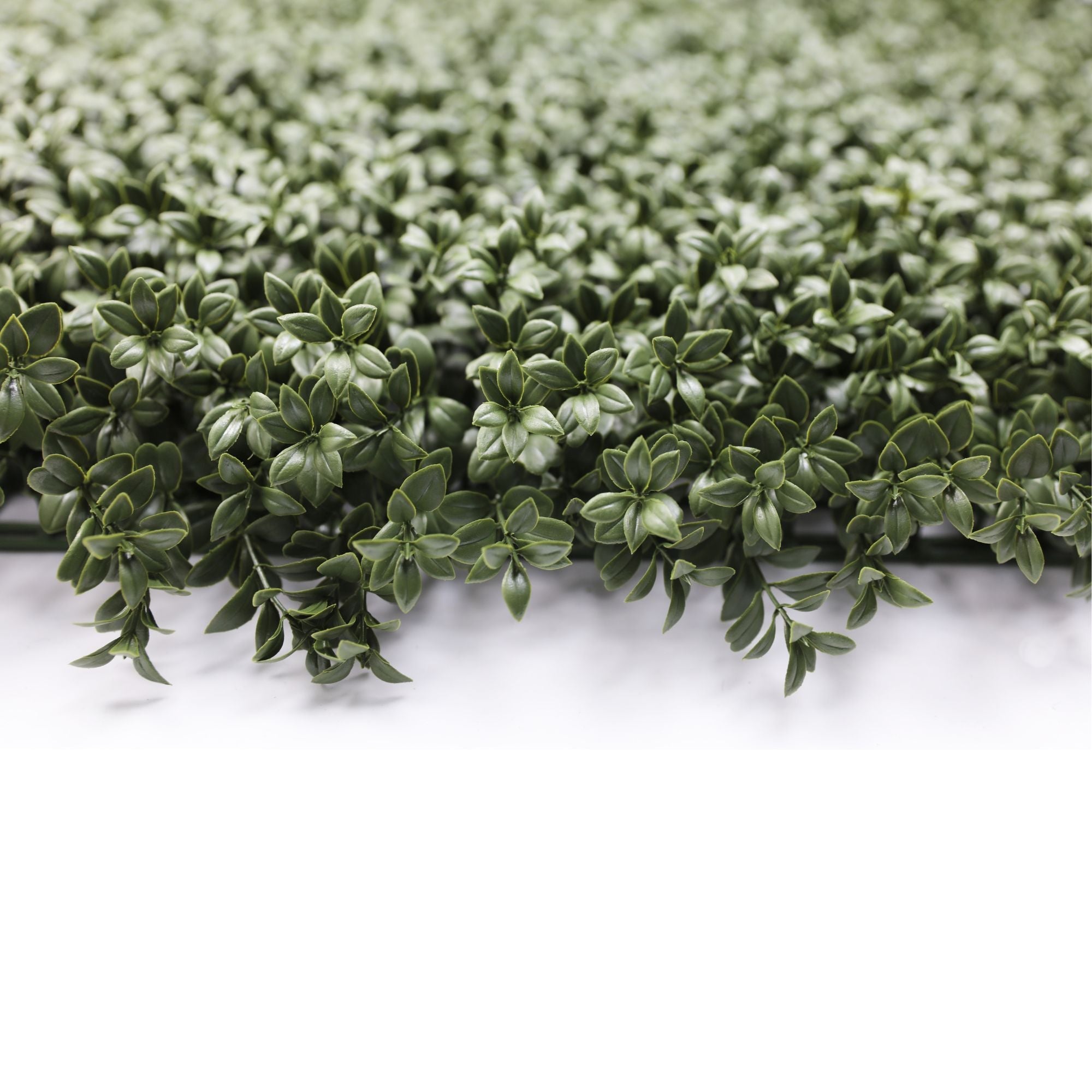 Artificial boxwood green wall panel with dense foliage, ideal for living wall installations, UV resistant and fire-rated by Designer Plants USA.