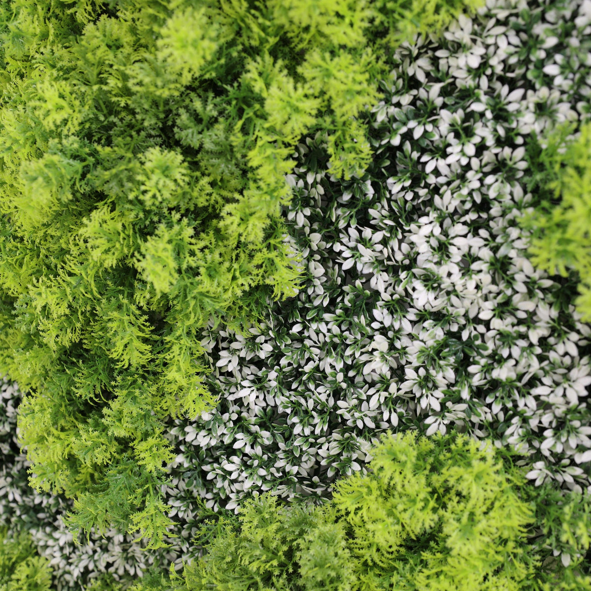 Artificial vertical garden wall panel with green and white moss, UV resistant, 40x40 inches, commercial-grade living wall from Designer Plants USA.