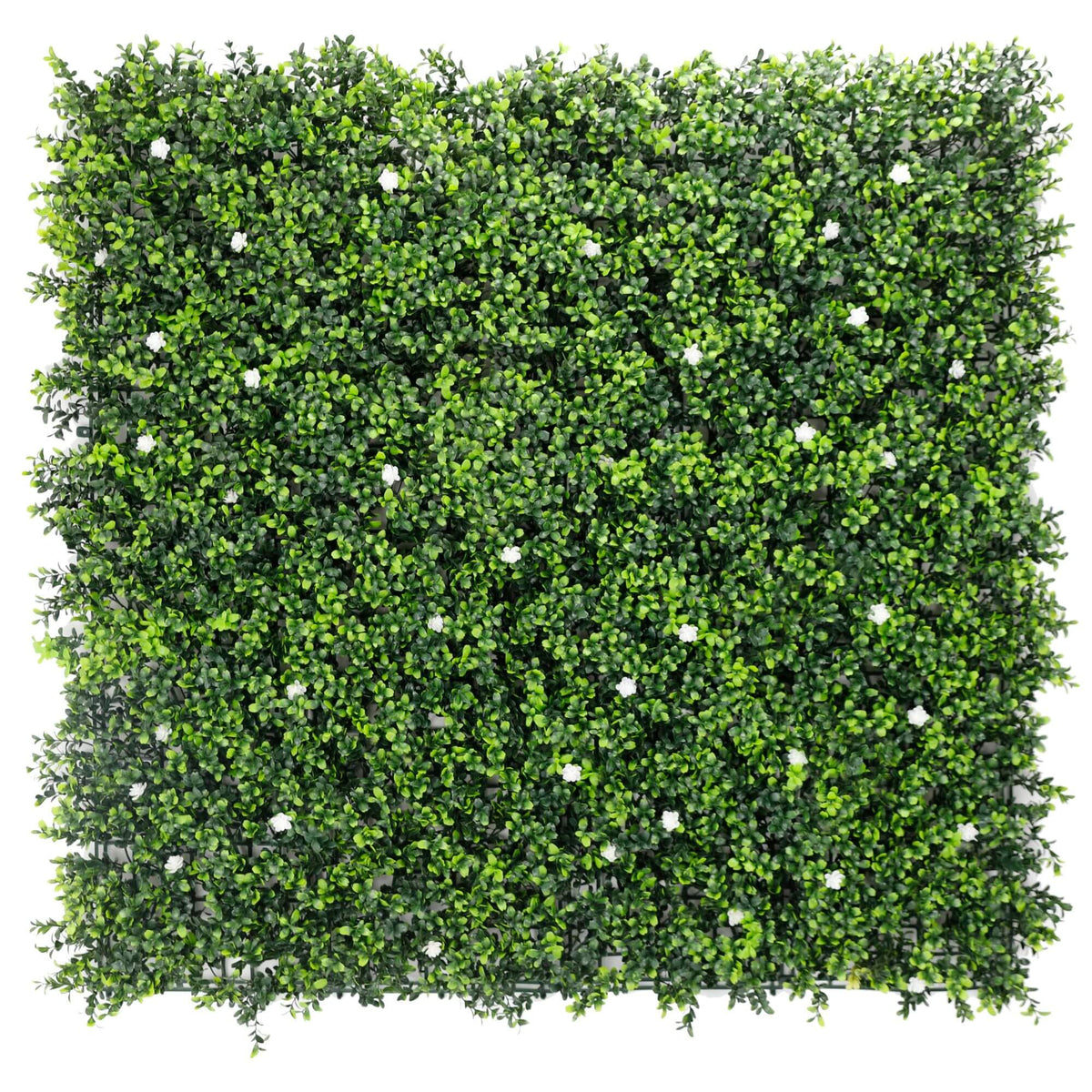 White flowering boxwood artificial vertical garden panel, UV-resistant living wall, 40x40 inches, commercial grade by Designer Plants USA.
