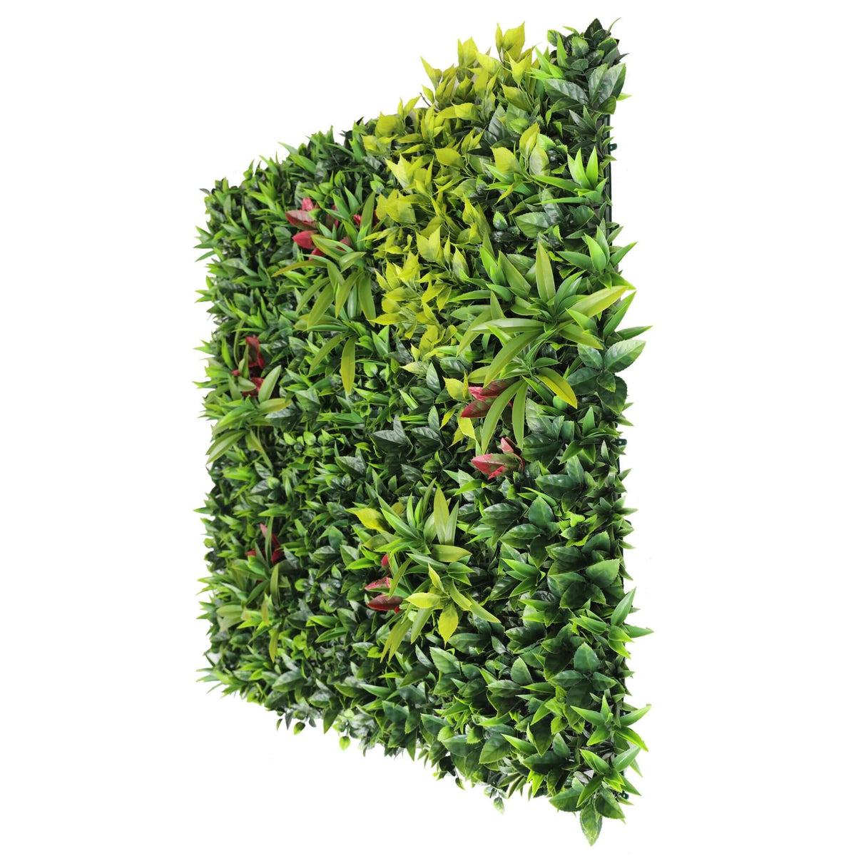 Small sample of Designer Plants USA Green Meadows vertical garden panel featuring lush Mondo Grass for indoor or outdoor greenery displays.