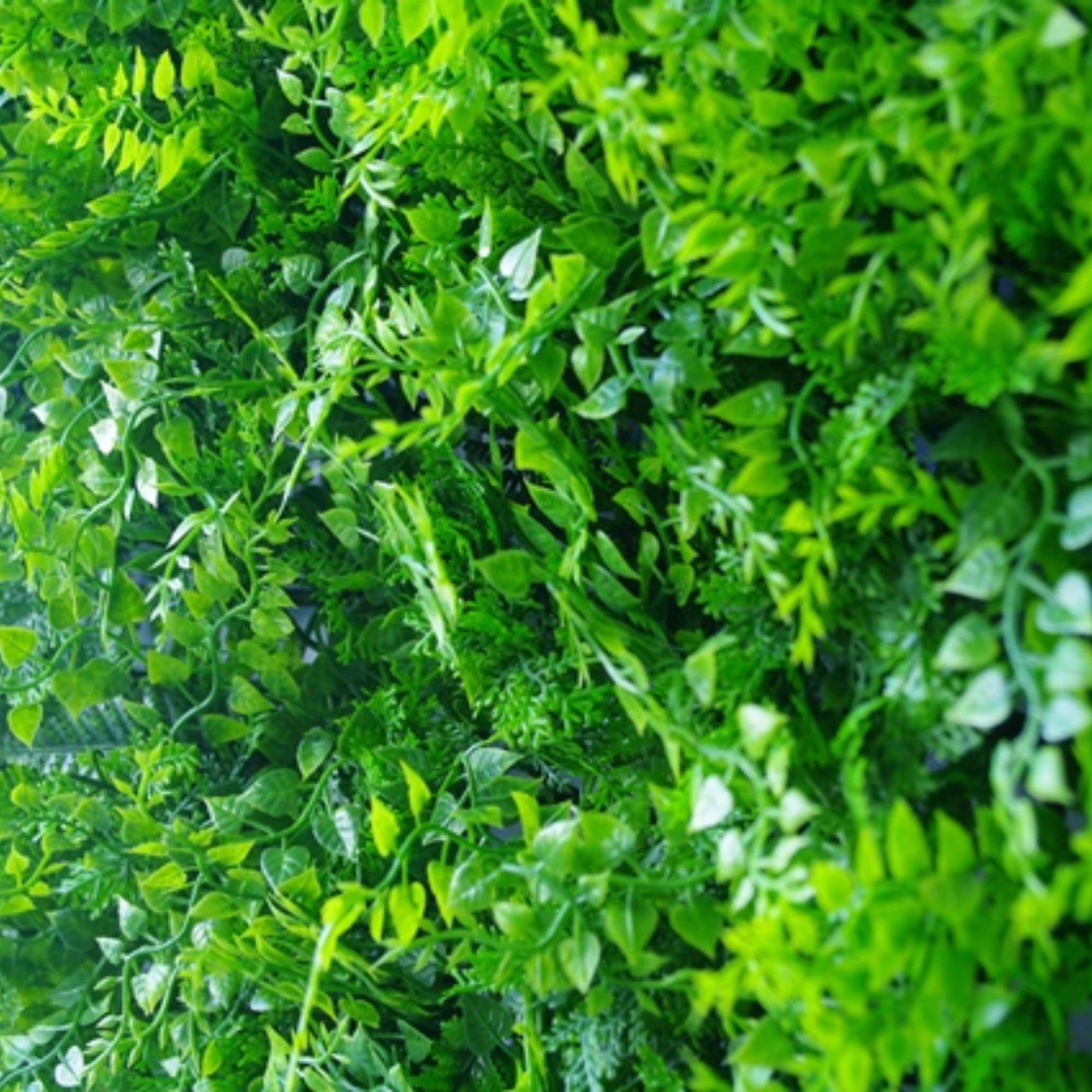 Small sample of lush fern green wall panel by Designer Plants USA, showcasing vibrant foliage for interior decor.