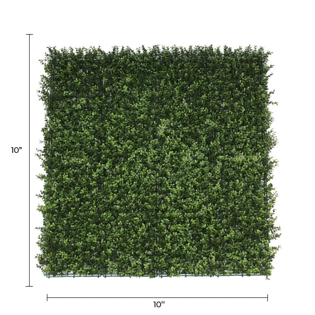 Small sample of Designer Plants USA natural boxwood green wall panel, showcasing realistic artificial greenery for interior or exterior decor.
