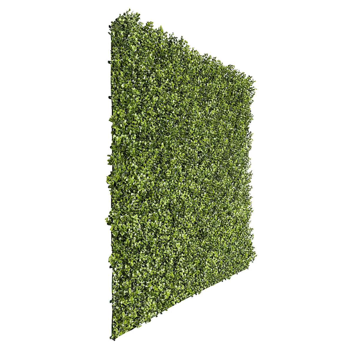 Small sample of Designer Plants USA natural boxwood green wall panel showing lush, dense green foliage for interior or exterior decor.