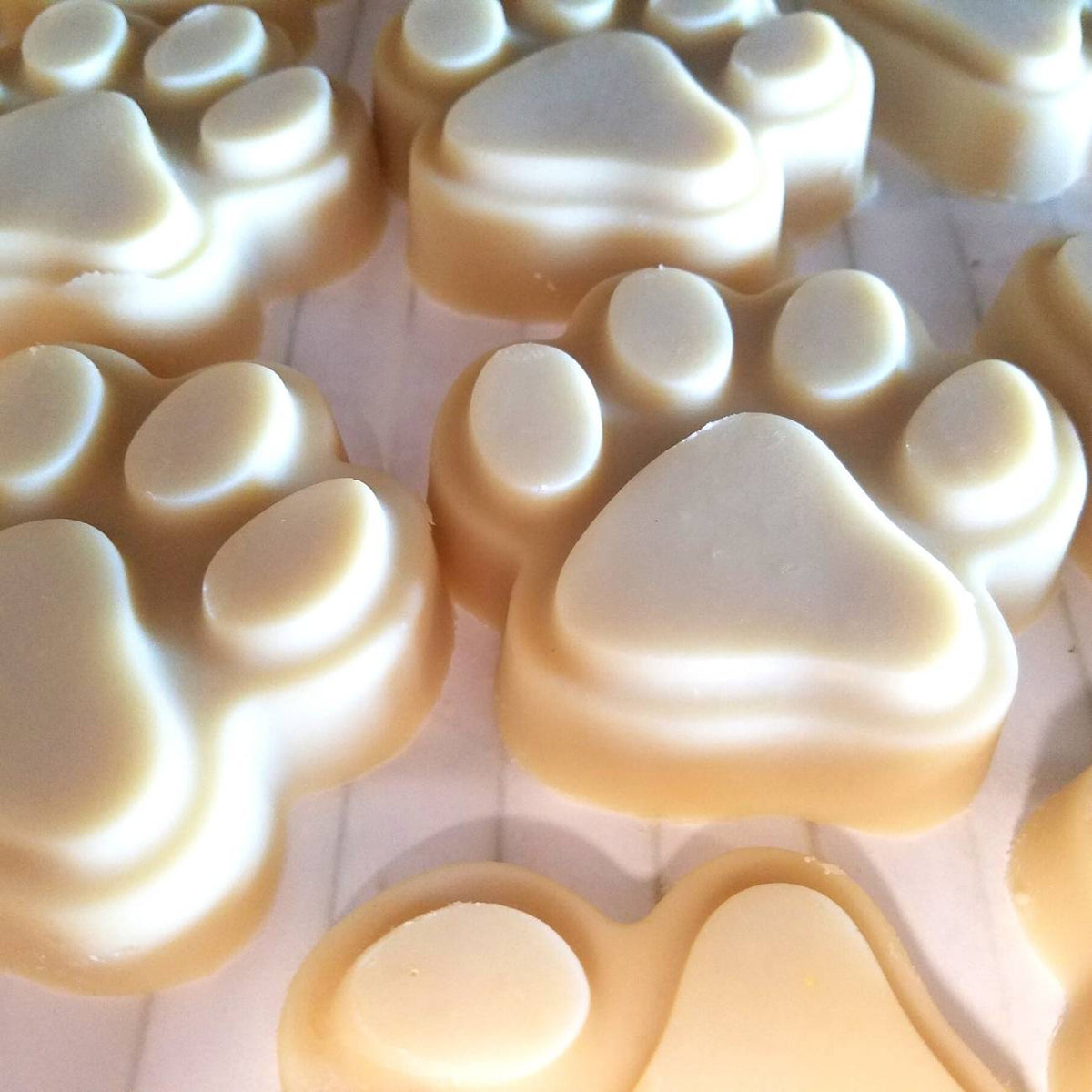 Fern Valley Soap natural goat milk dog shampoo bar with Big Paw branding, showing the soap with a simple packaging design.