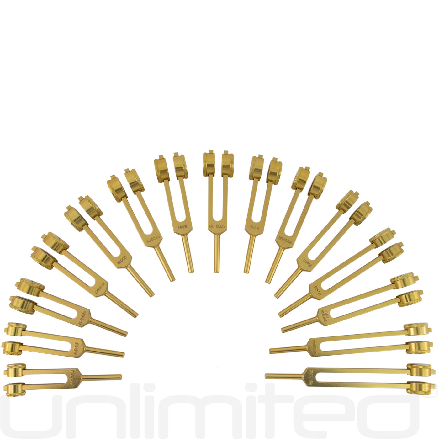 Weighted Gongs Unlimited Human Organ Tuning Fork Set with Activator, showing multiple tuning forks on a plain background.