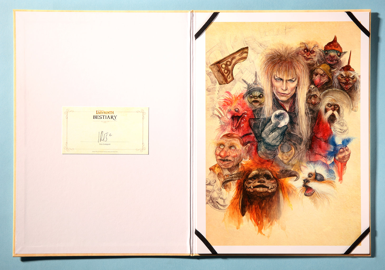 Collector edition Jim Henson's Labyrinth Bestiary by Insight Editions showcasing fantastical creature illustrations from the fantasy book.