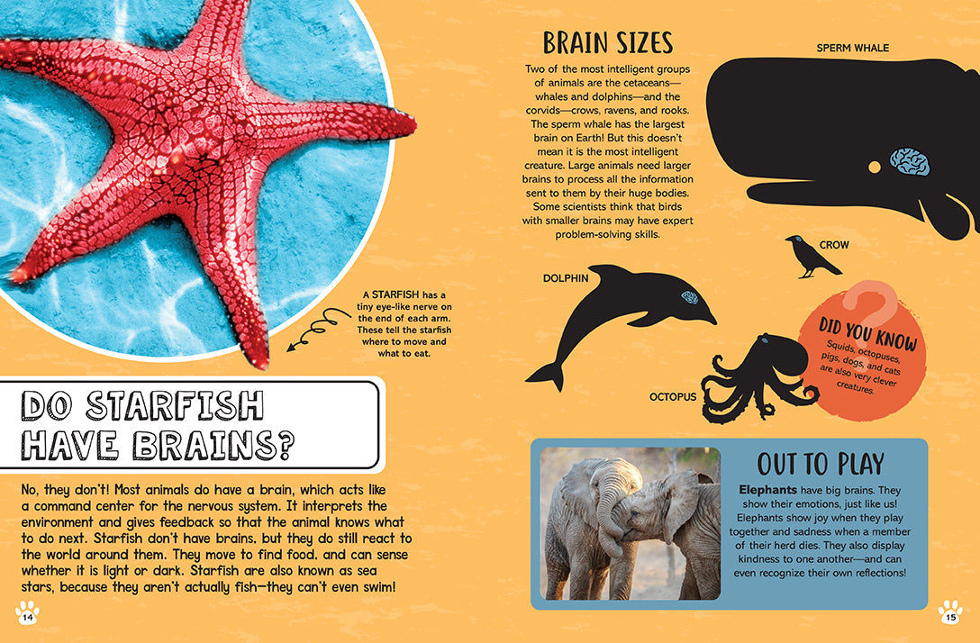 Hardcover book titled "Big Questions for Little People: Animals" by Insight Editions, featuring colorful animal illustrations on the cover.