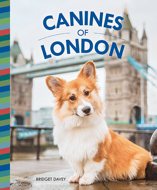 Hardcover book titled "Canines of London" by Insight Editions, featuring detailed images of London's iconic dogs inside.