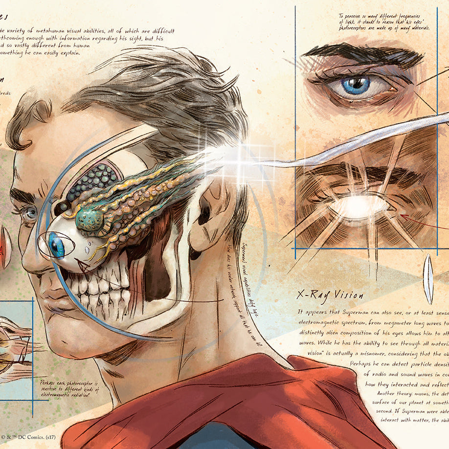 Hardcover book titled "DC Comics: Anatomy of a Metahuman" by Insight Editions featuring a detailed cover design.