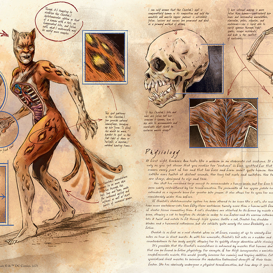 Hardcover book titled "DC Comics: Anatomy of a Metahuman" by Insight Editions, featuring detailed illustrations and cover art.