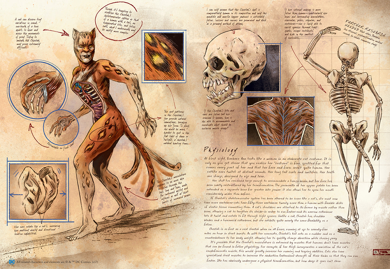 Hardcover book titled "DC Comics: Anatomy of a Metahuman" by Insight Editions, featuring detailed illustrations and cover art.