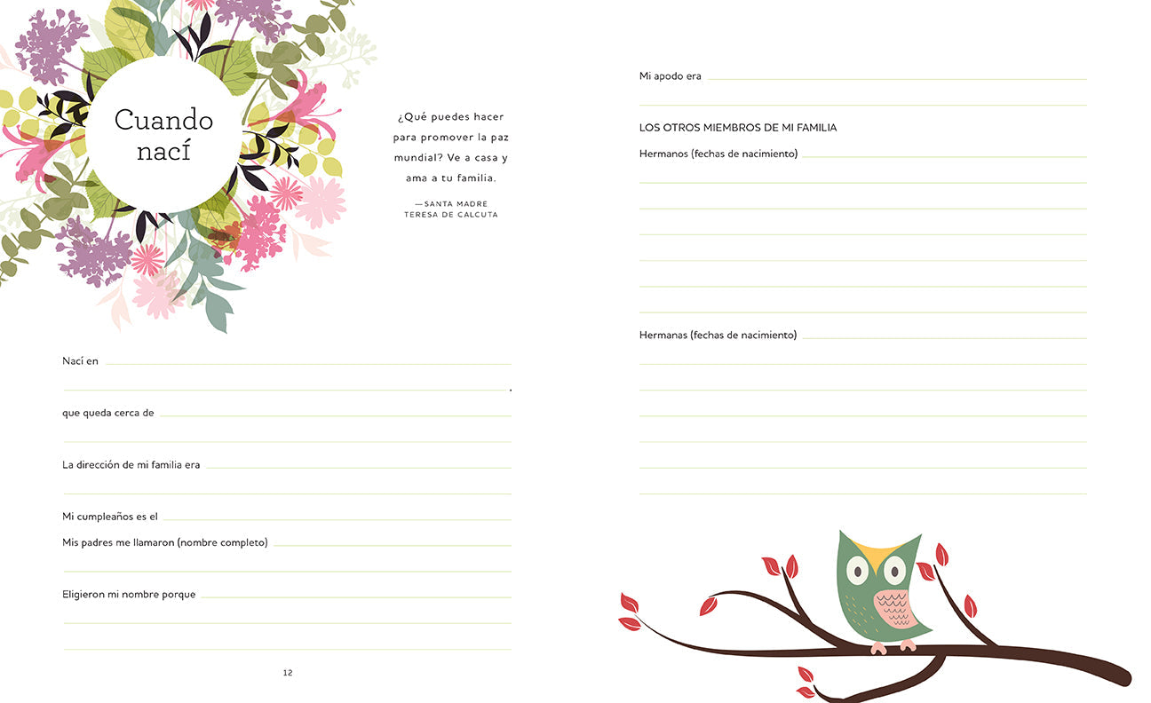 Hardcover "Diario de una abuela" journal by Insight Editions with a decorative cover and gold embossed title.